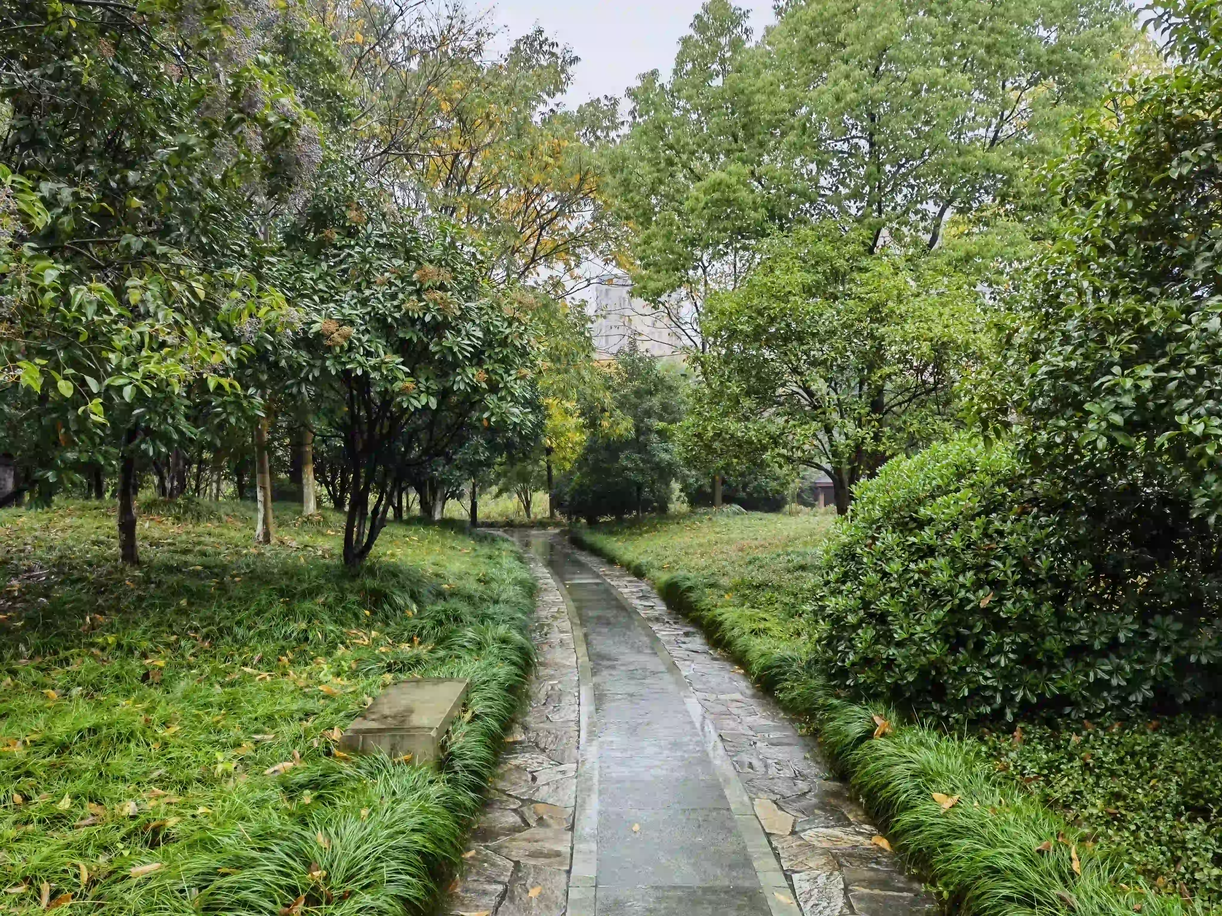 雨后的走道 雨后的走道