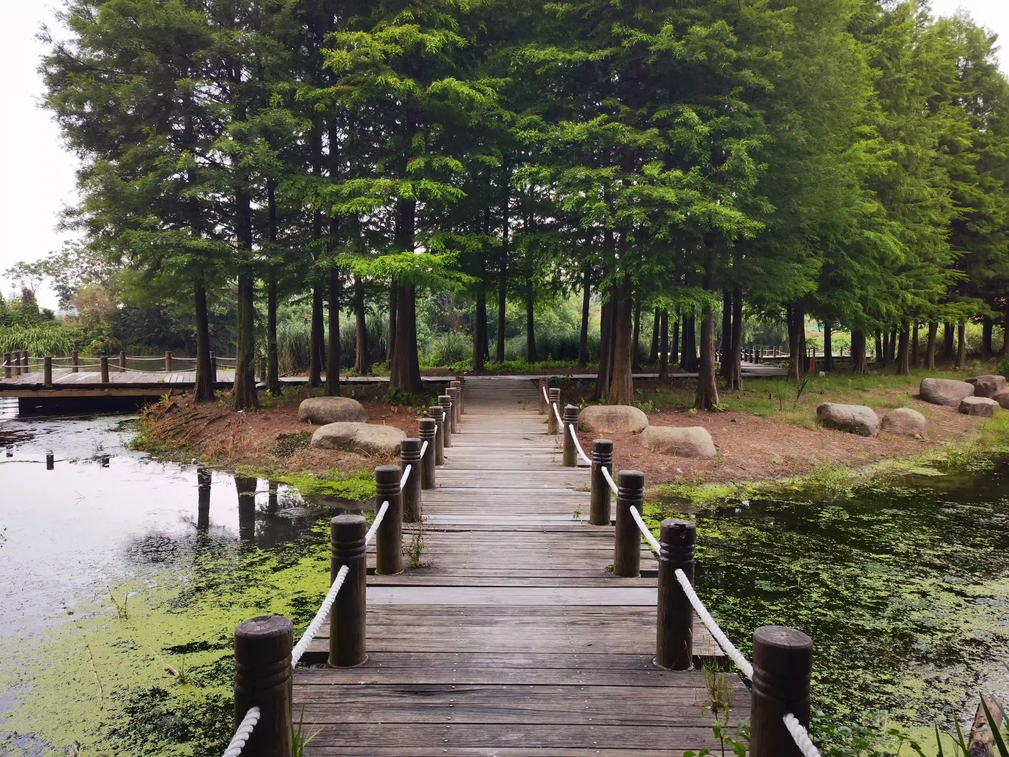 走道 走道