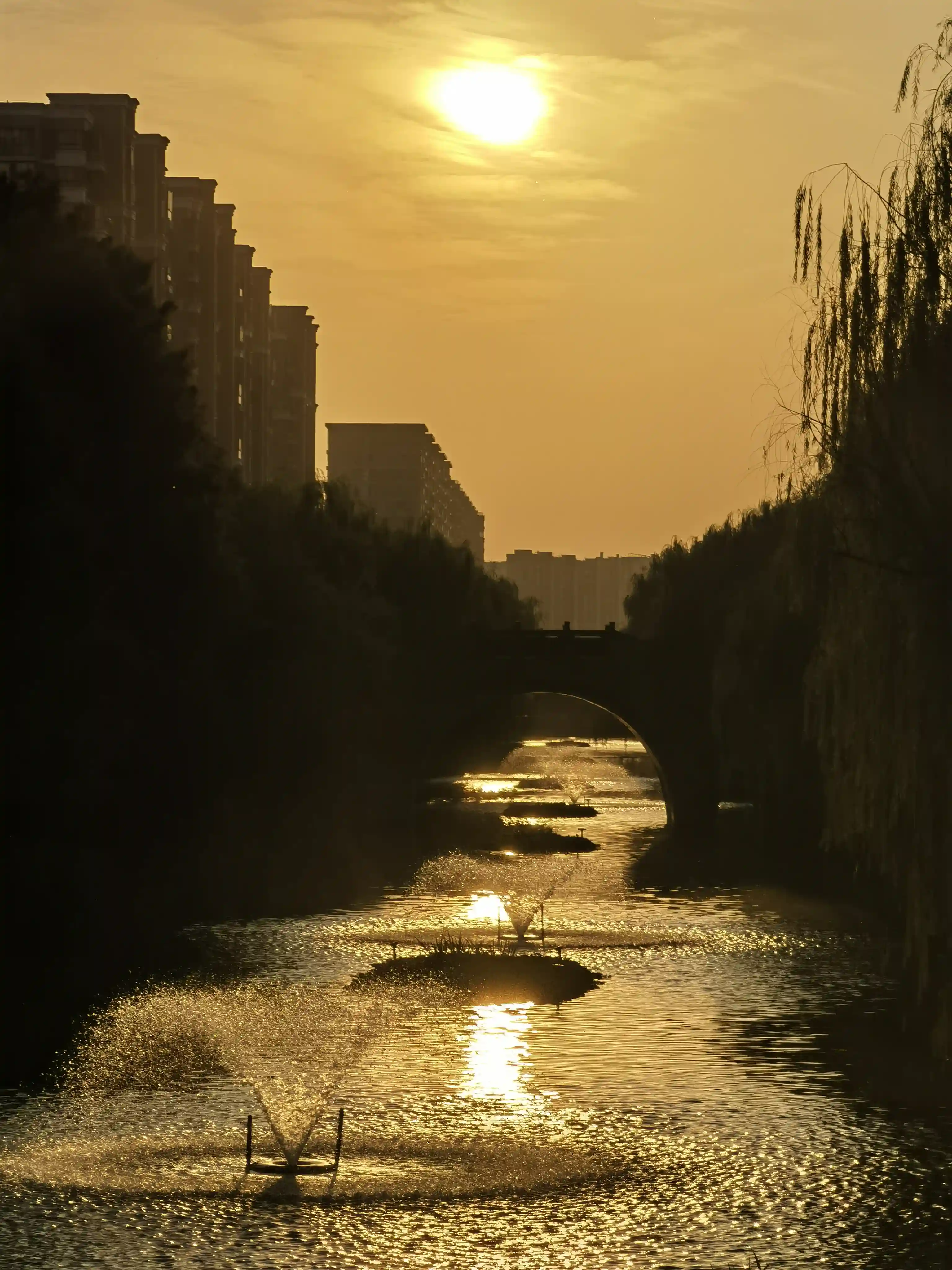 夕阳下的大农港 夕阳下的大农港