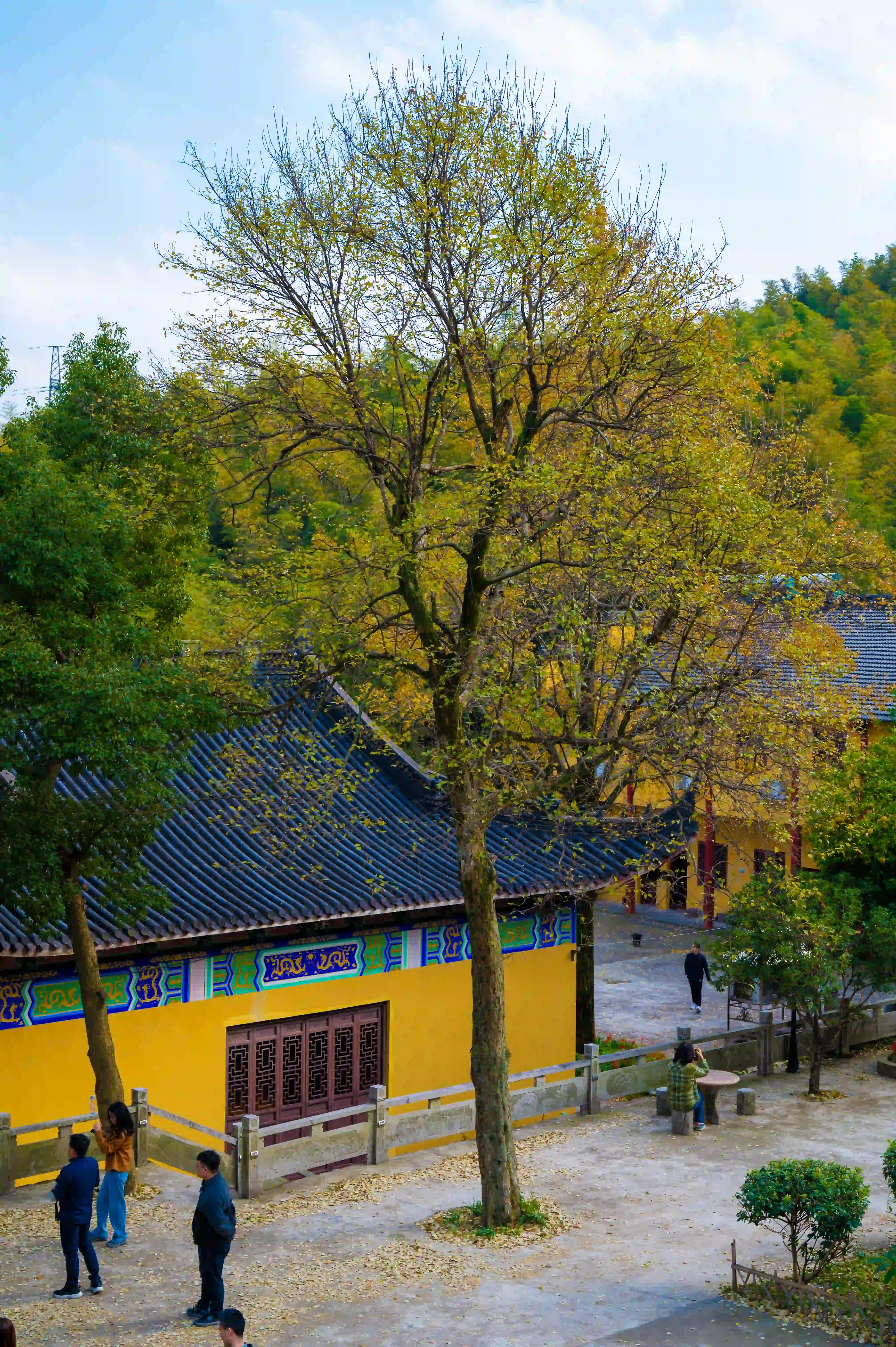 寺内的美景 寺内的美景