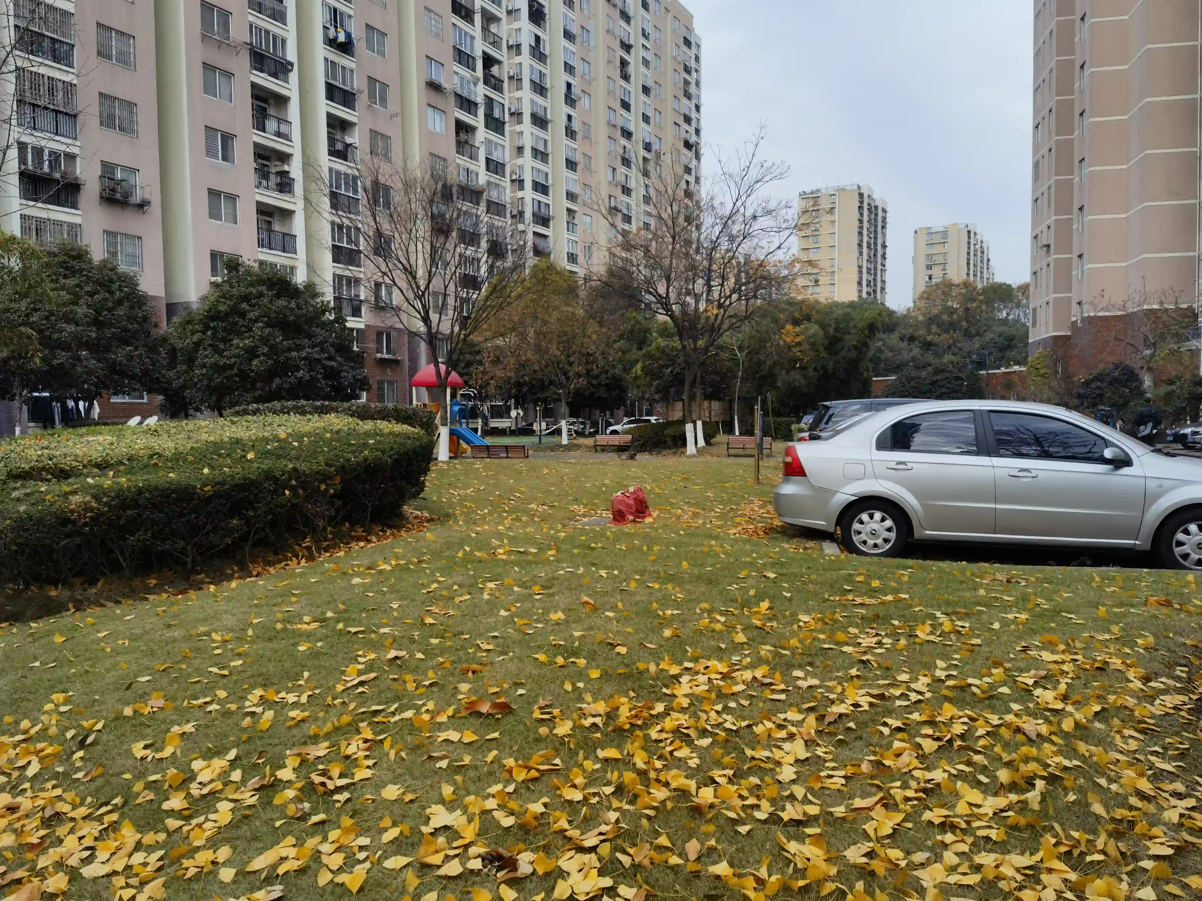 秋色 秋色