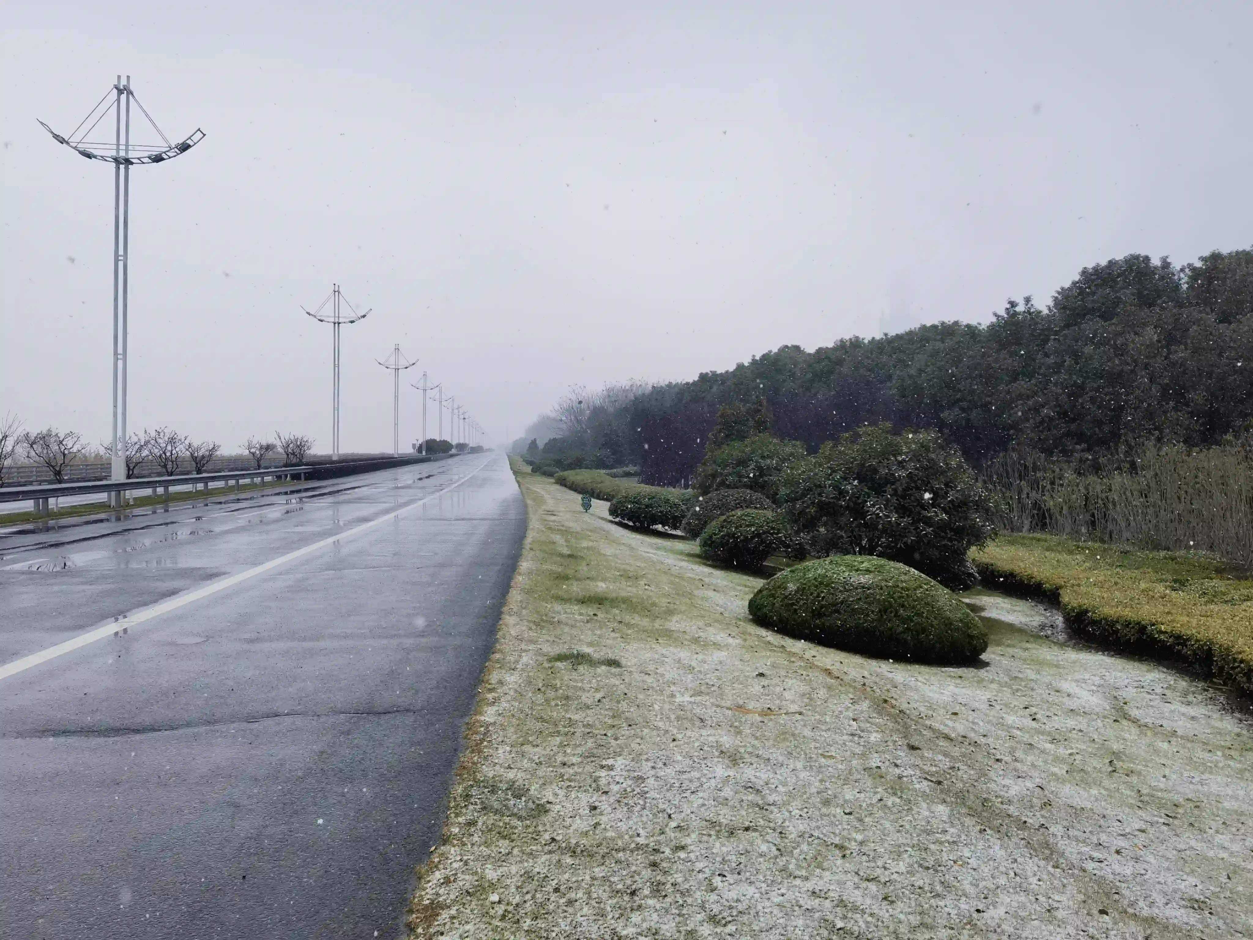 飘落下来的雪花 飘落下来的雪花