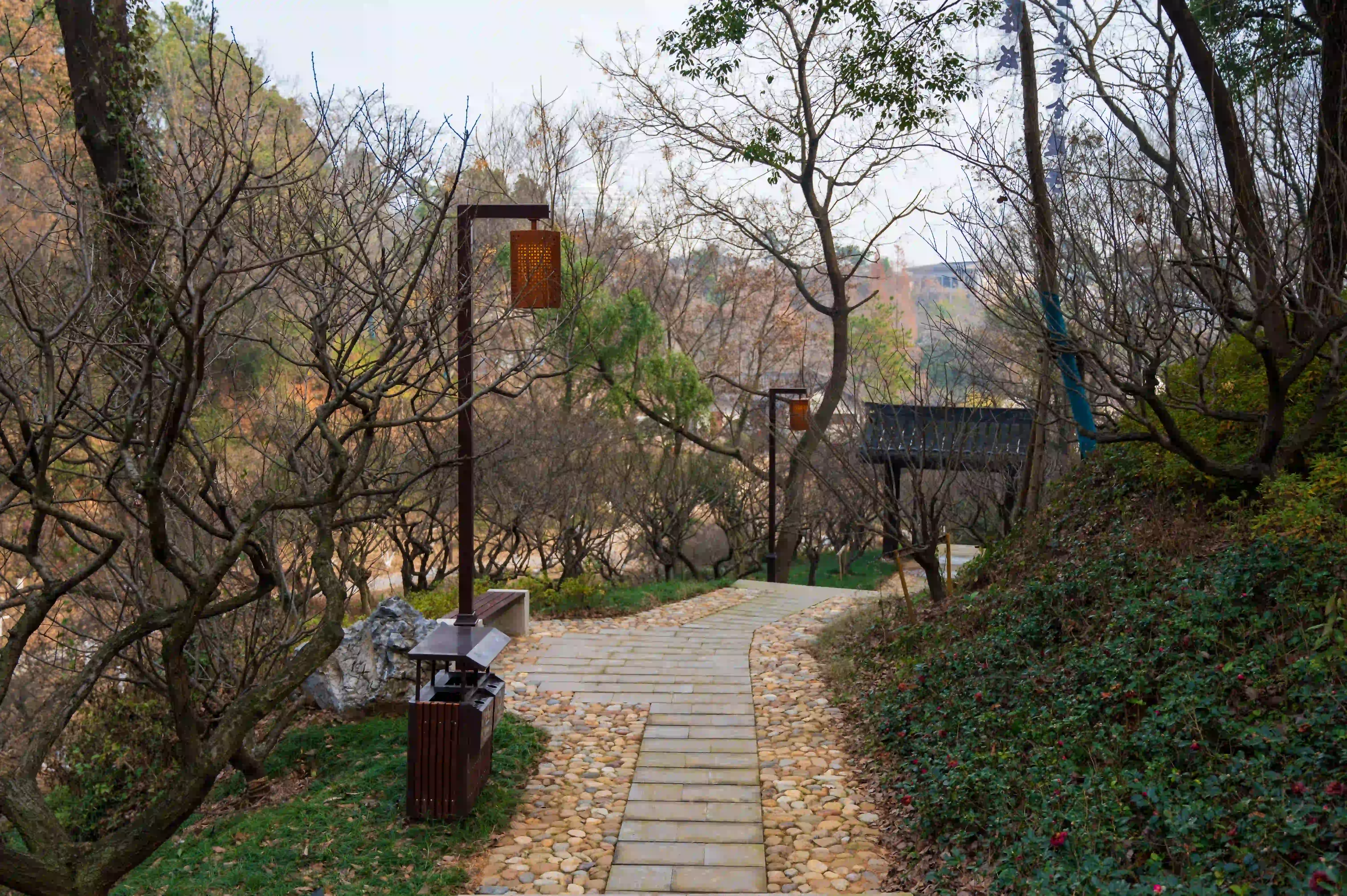 清净的爬山走道 清净的爬山走道