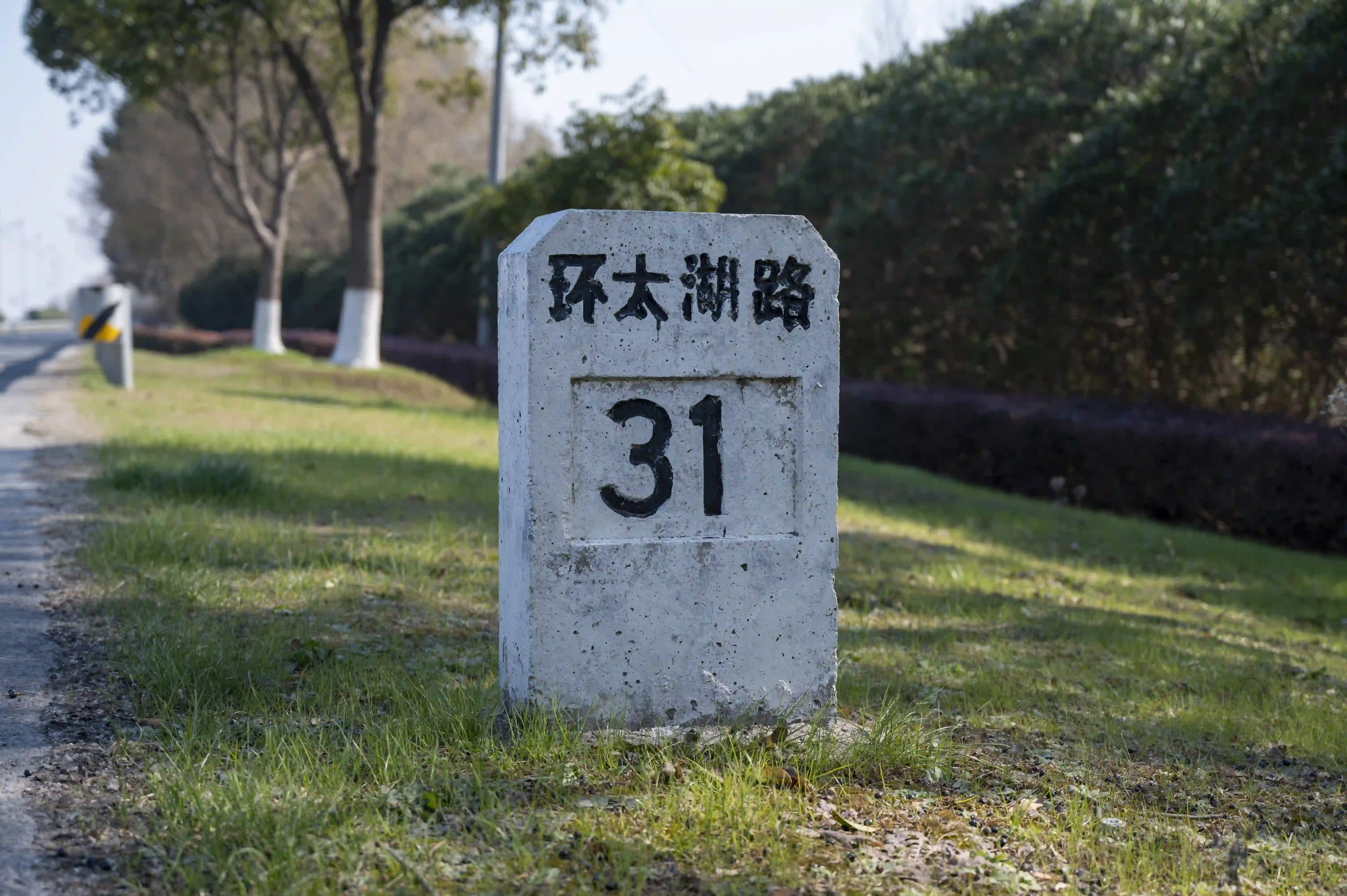 环太湖路31 环太湖路31