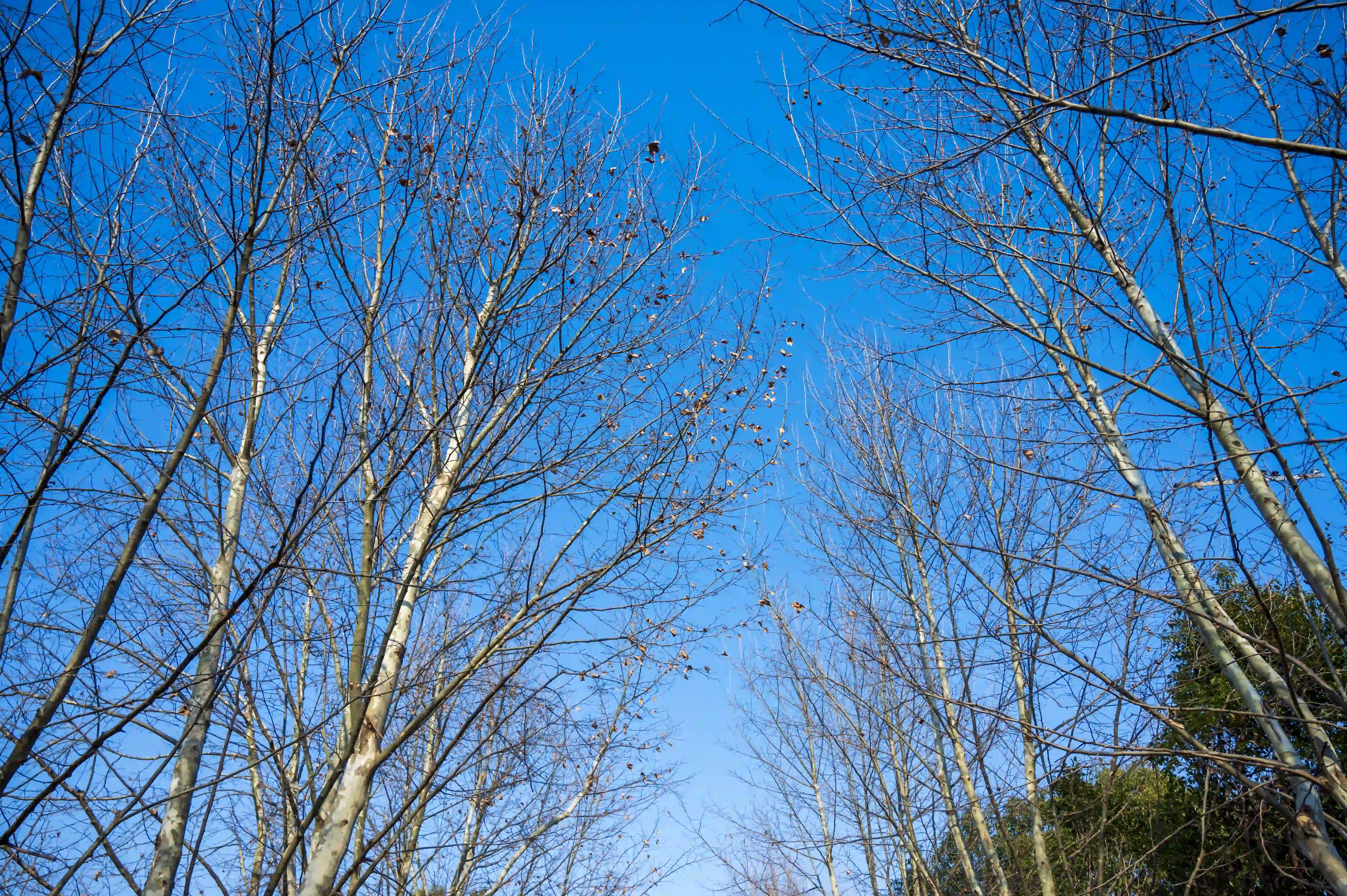 蔚蓝的天空 蔚蓝的天空