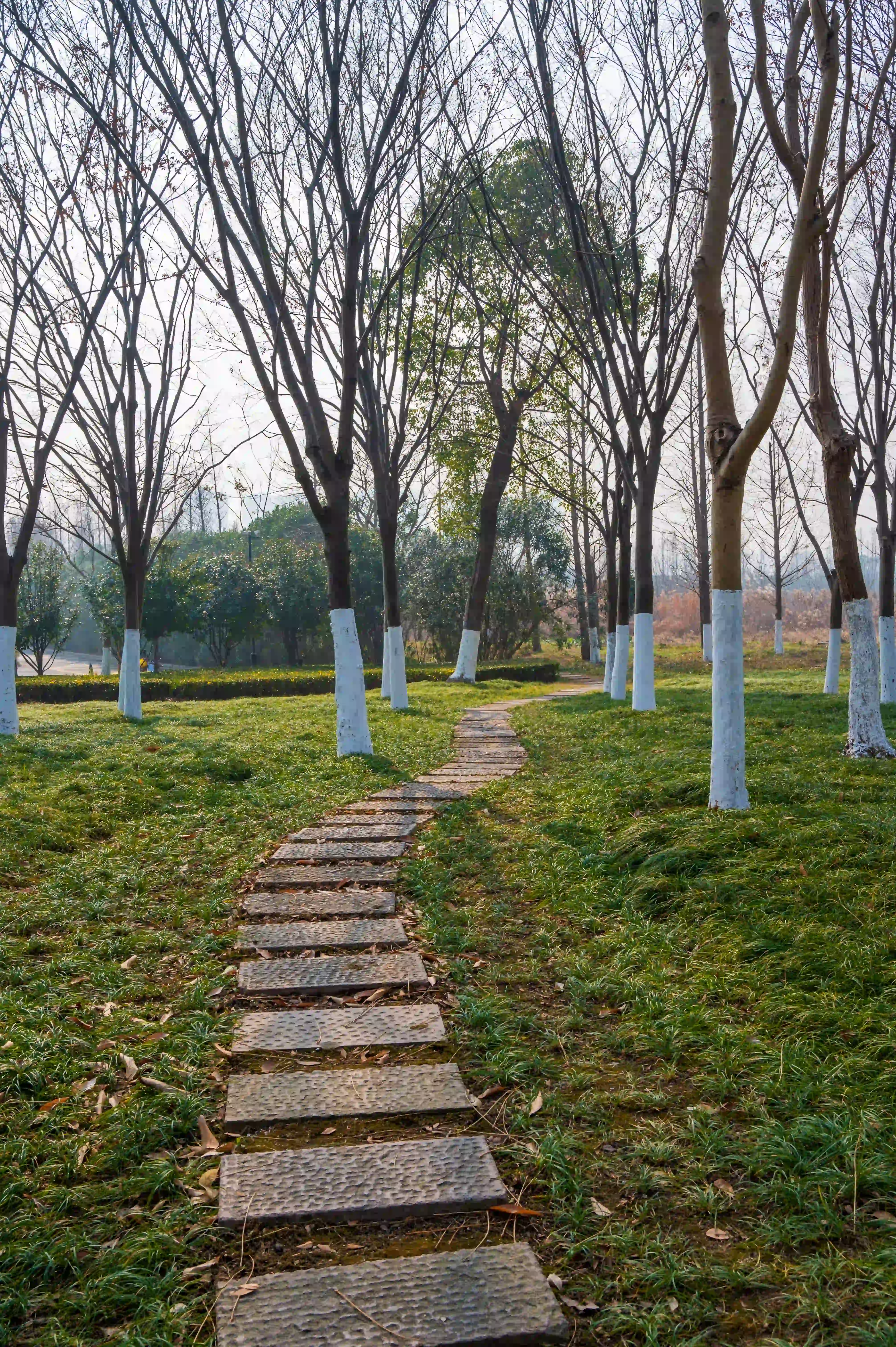 石板走道 石板走道