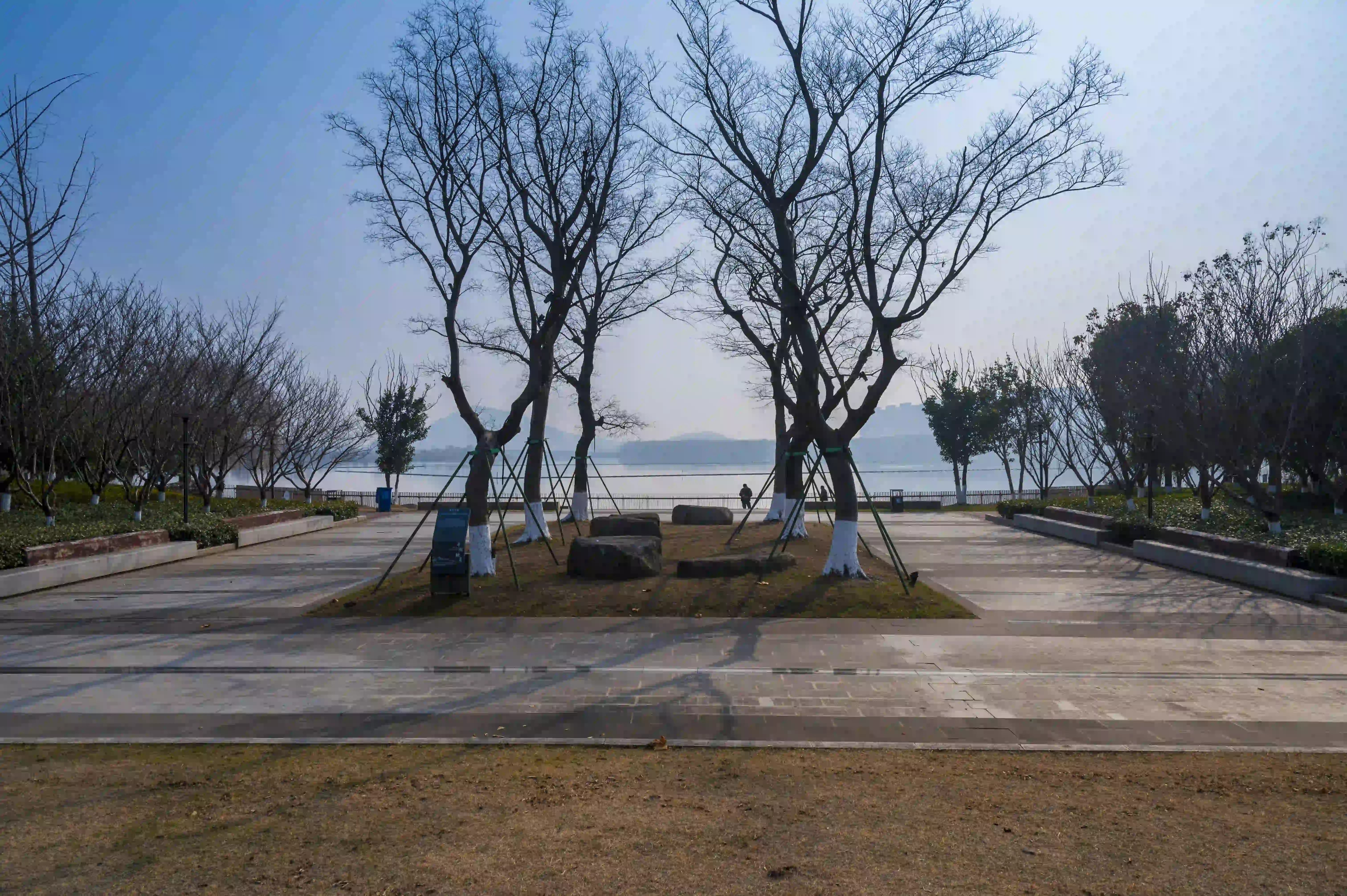 西山漾湿地 西山漾湿地
