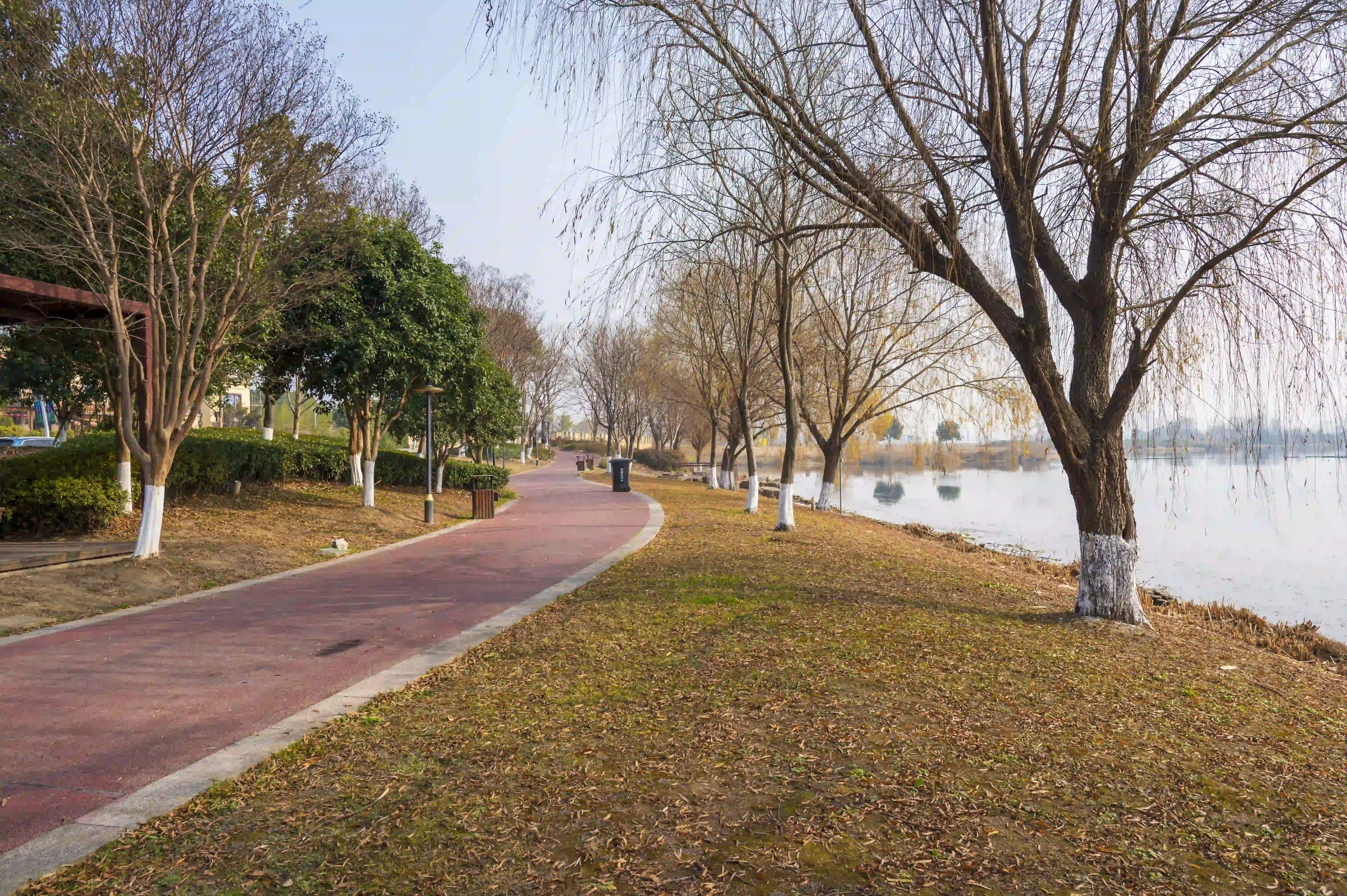 湖岸边的走道 湖岸边的走道