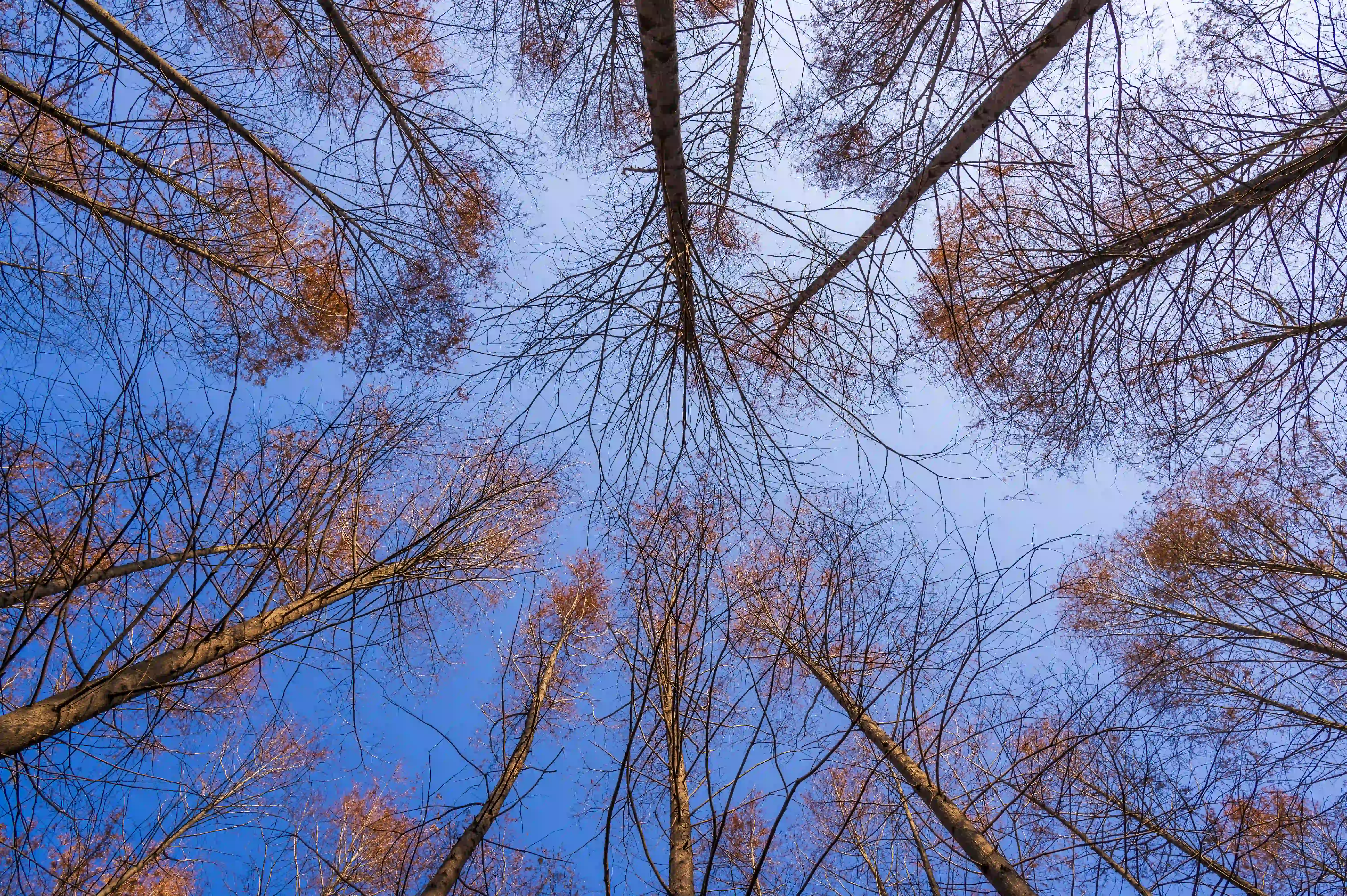 仰望天空 仰望天空