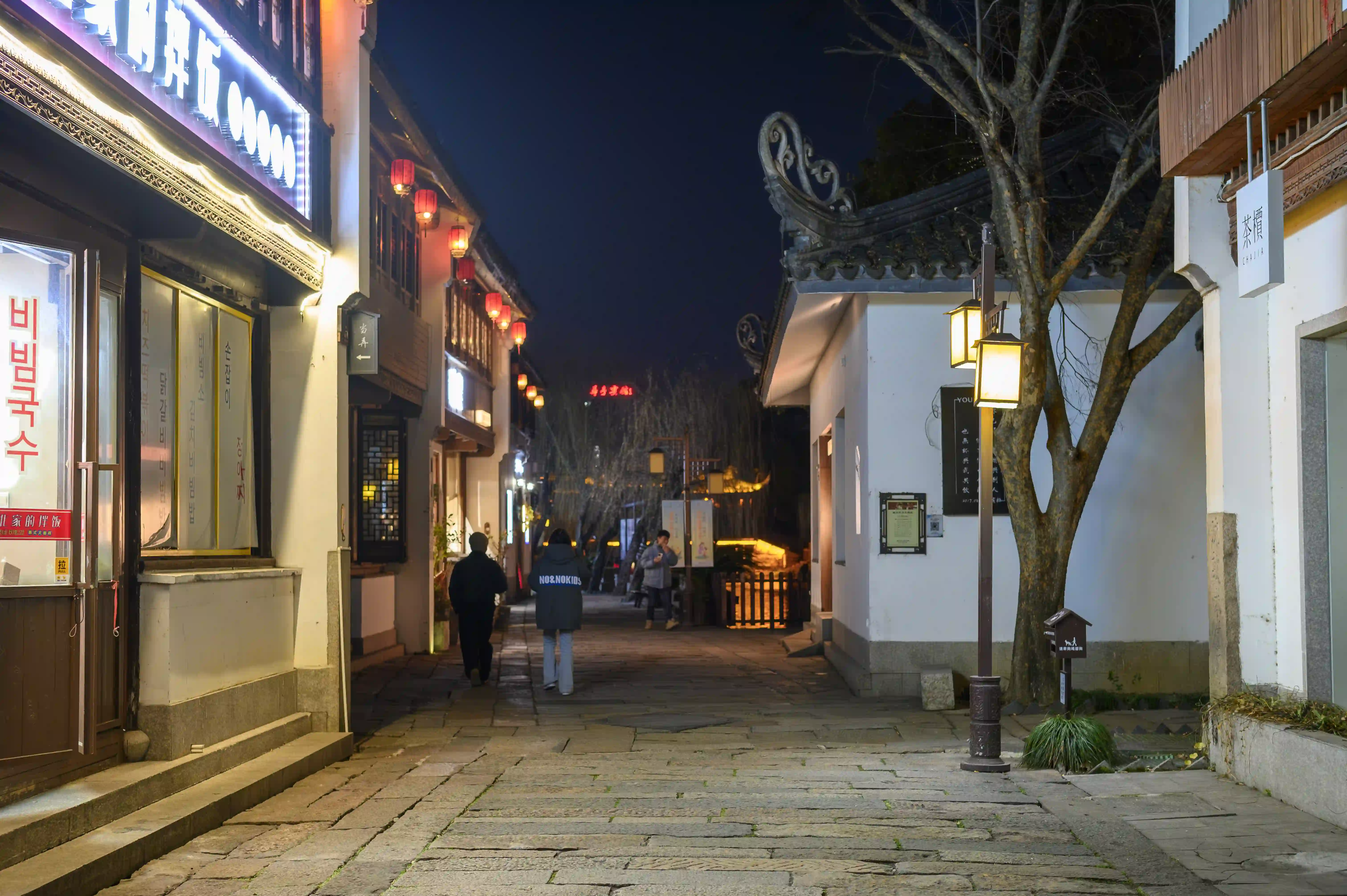 夜间闲逛的人们 夜间闲逛的人们