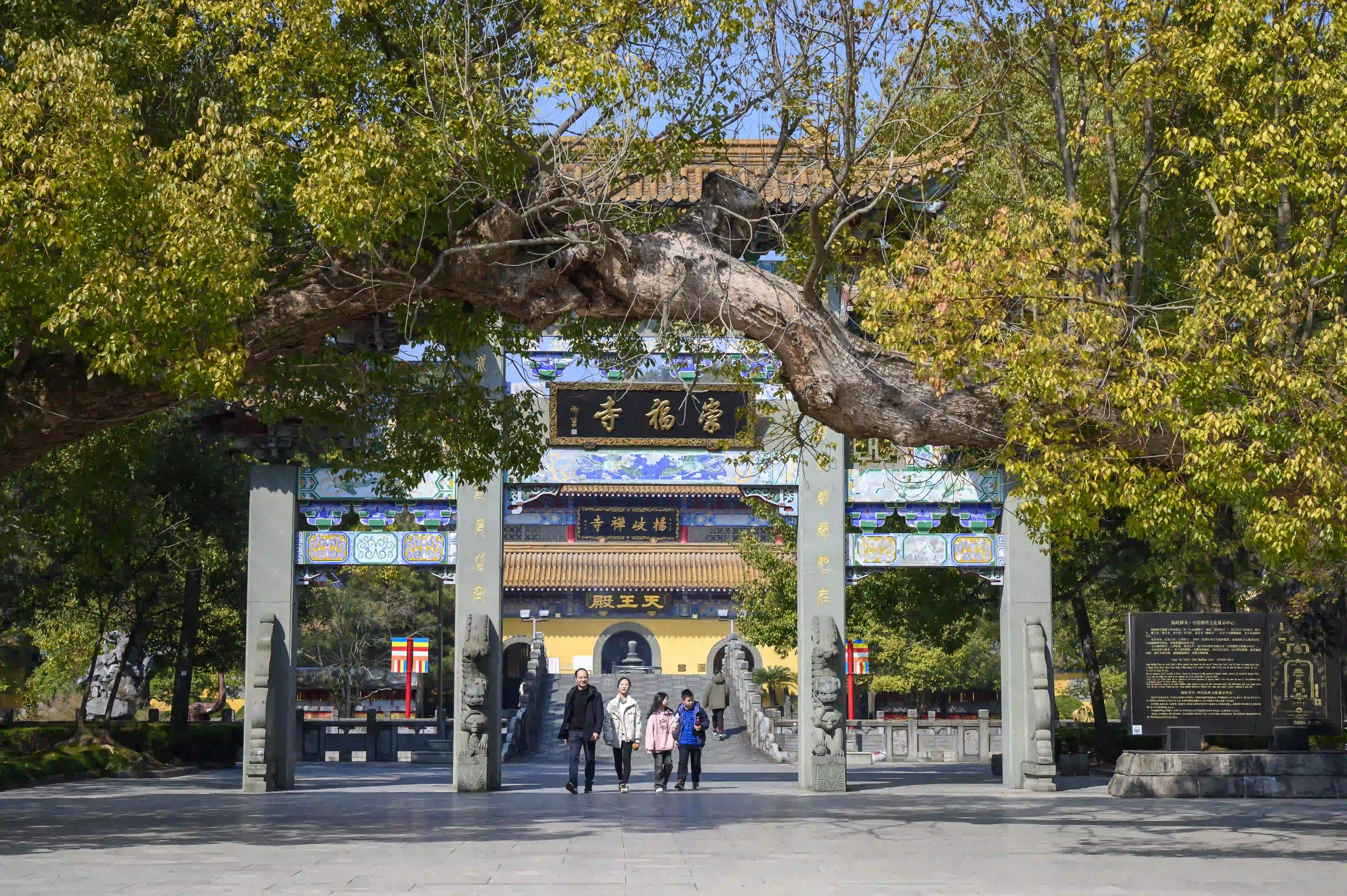 崇福寺 崇福寺