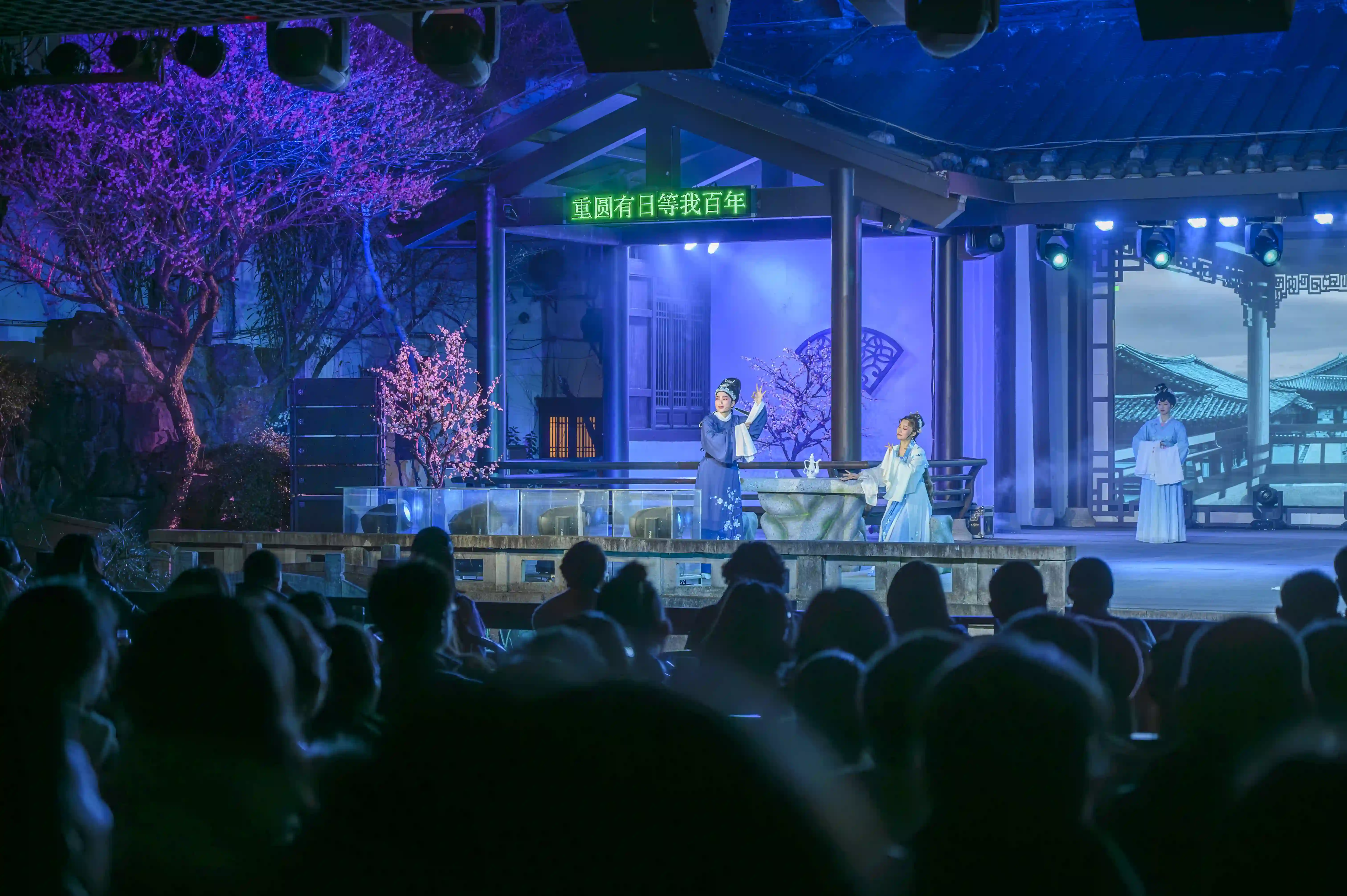 《沈园之夜》 《沈园之夜》