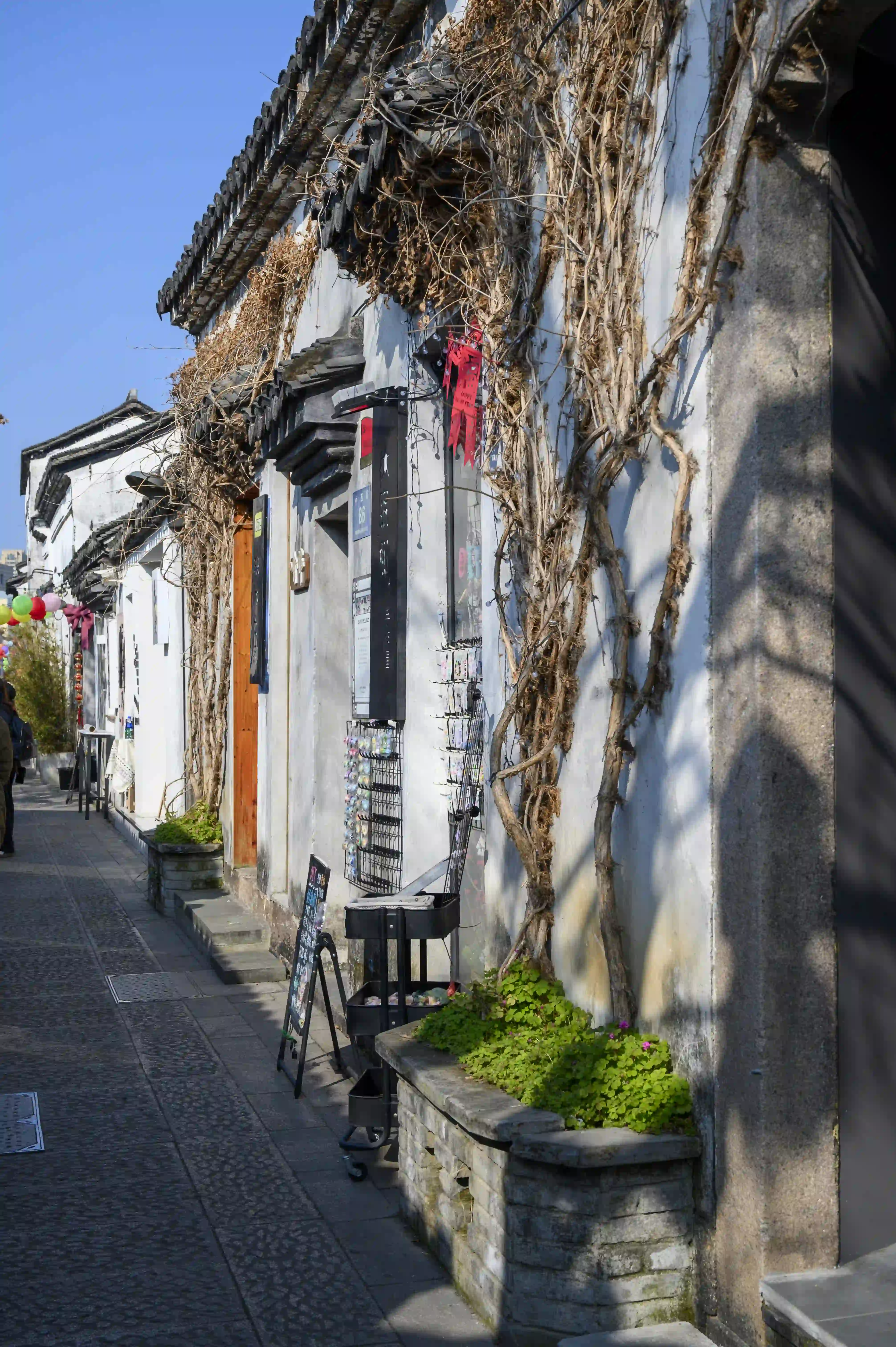 小西街 小西街