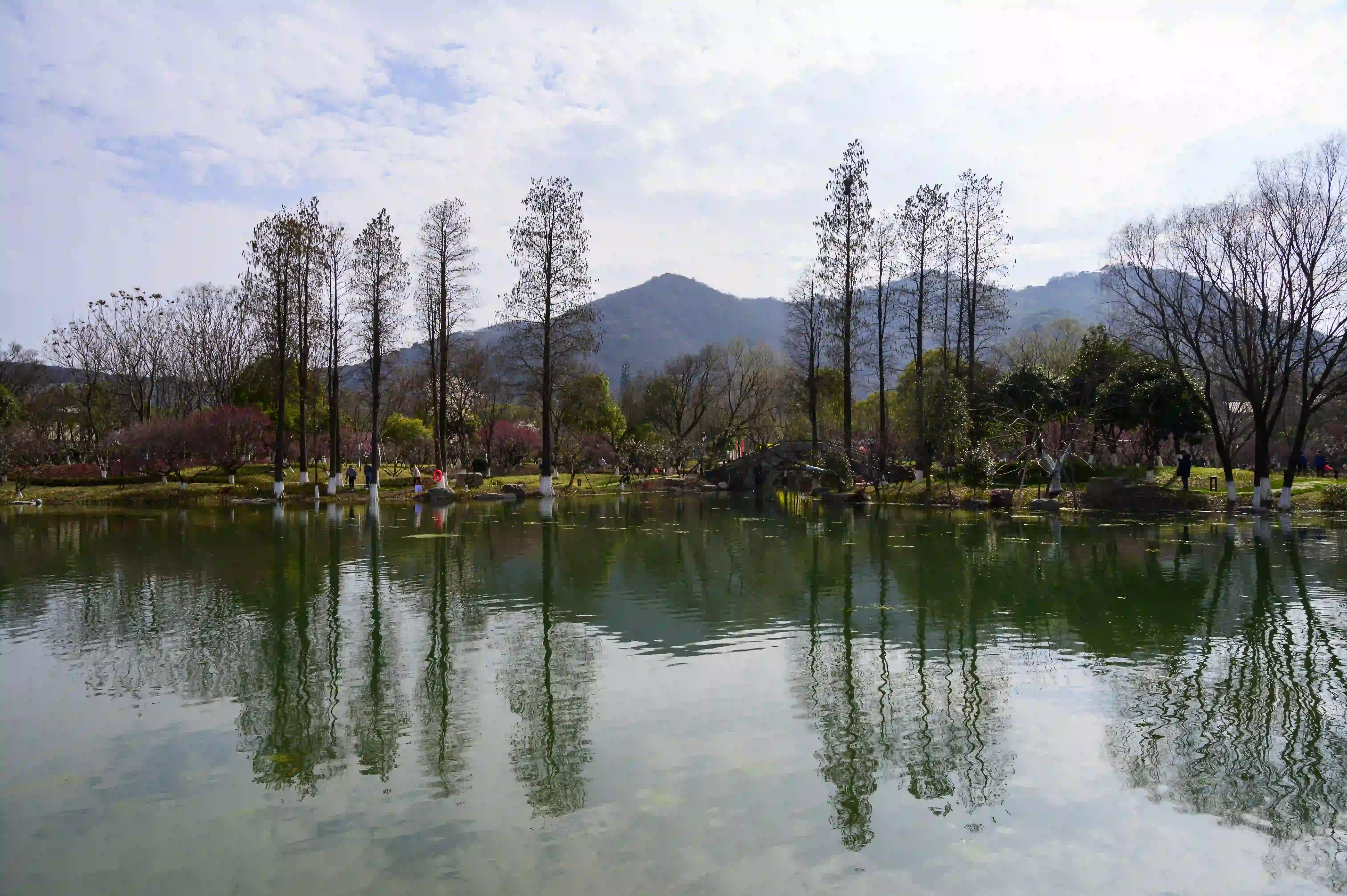 超山北门小湖景色 超山北门小湖景色