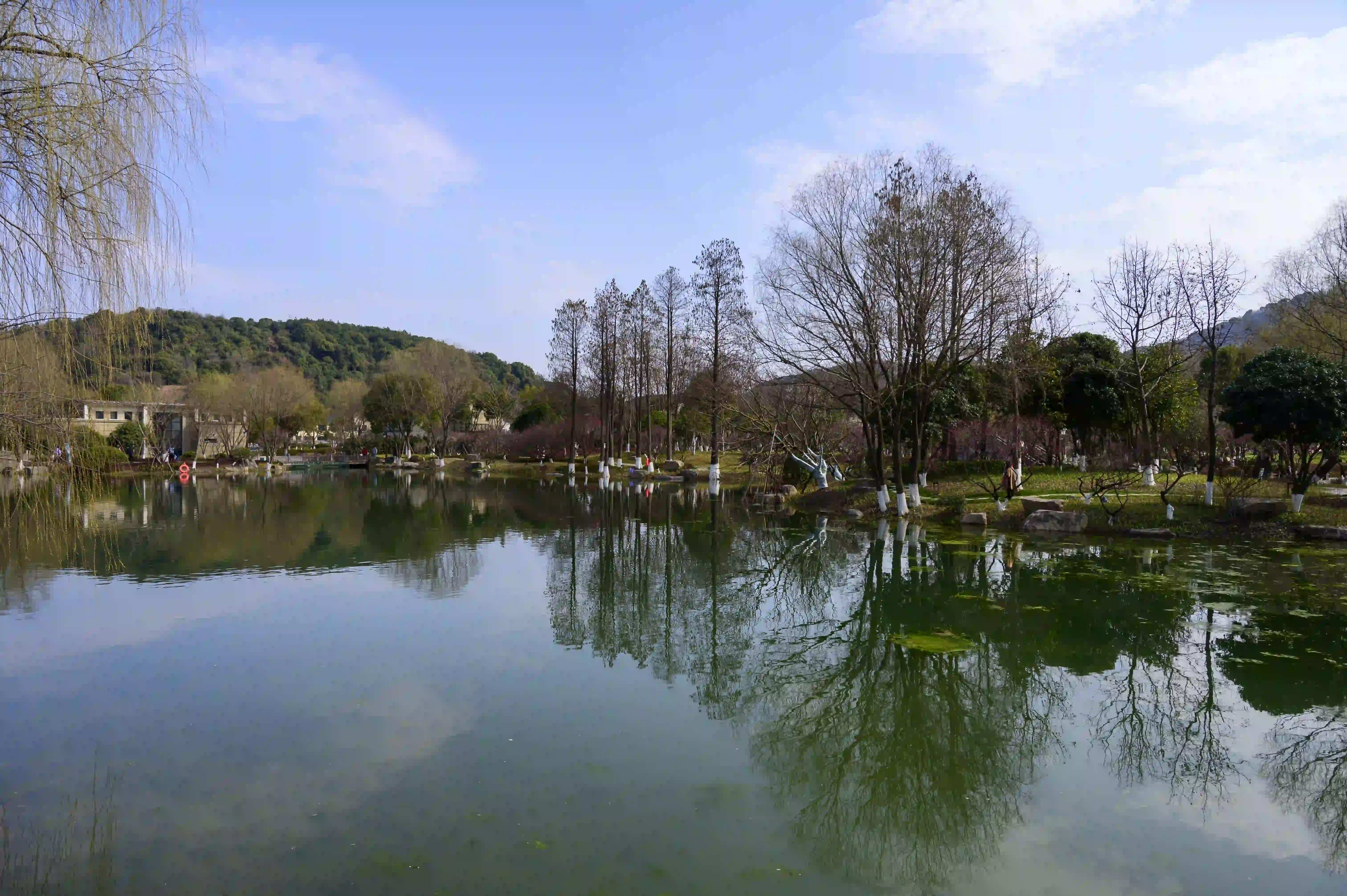 超山北门小湖景色 超山北门小湖景色