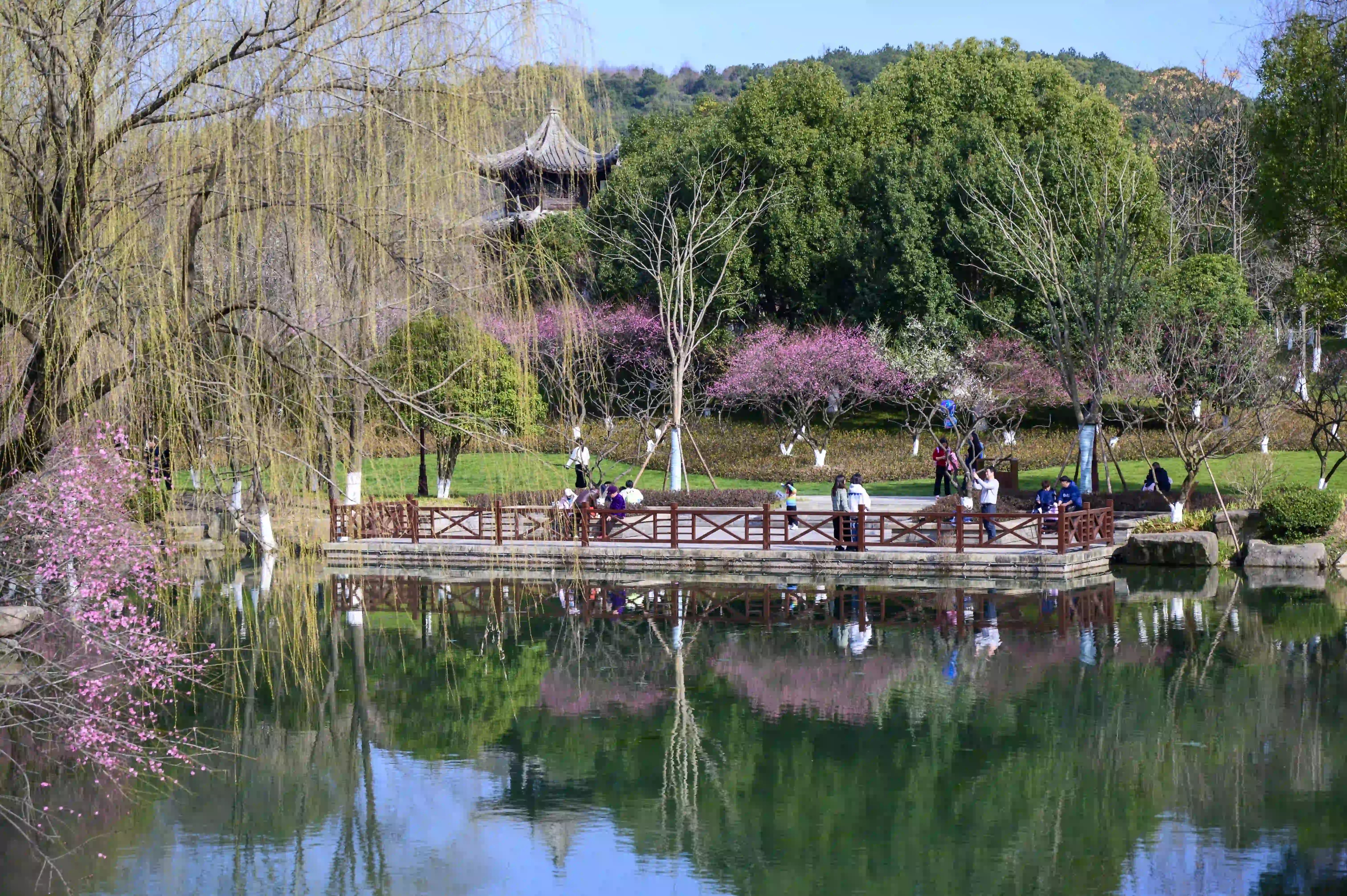 水岸边景色 水岸边景色