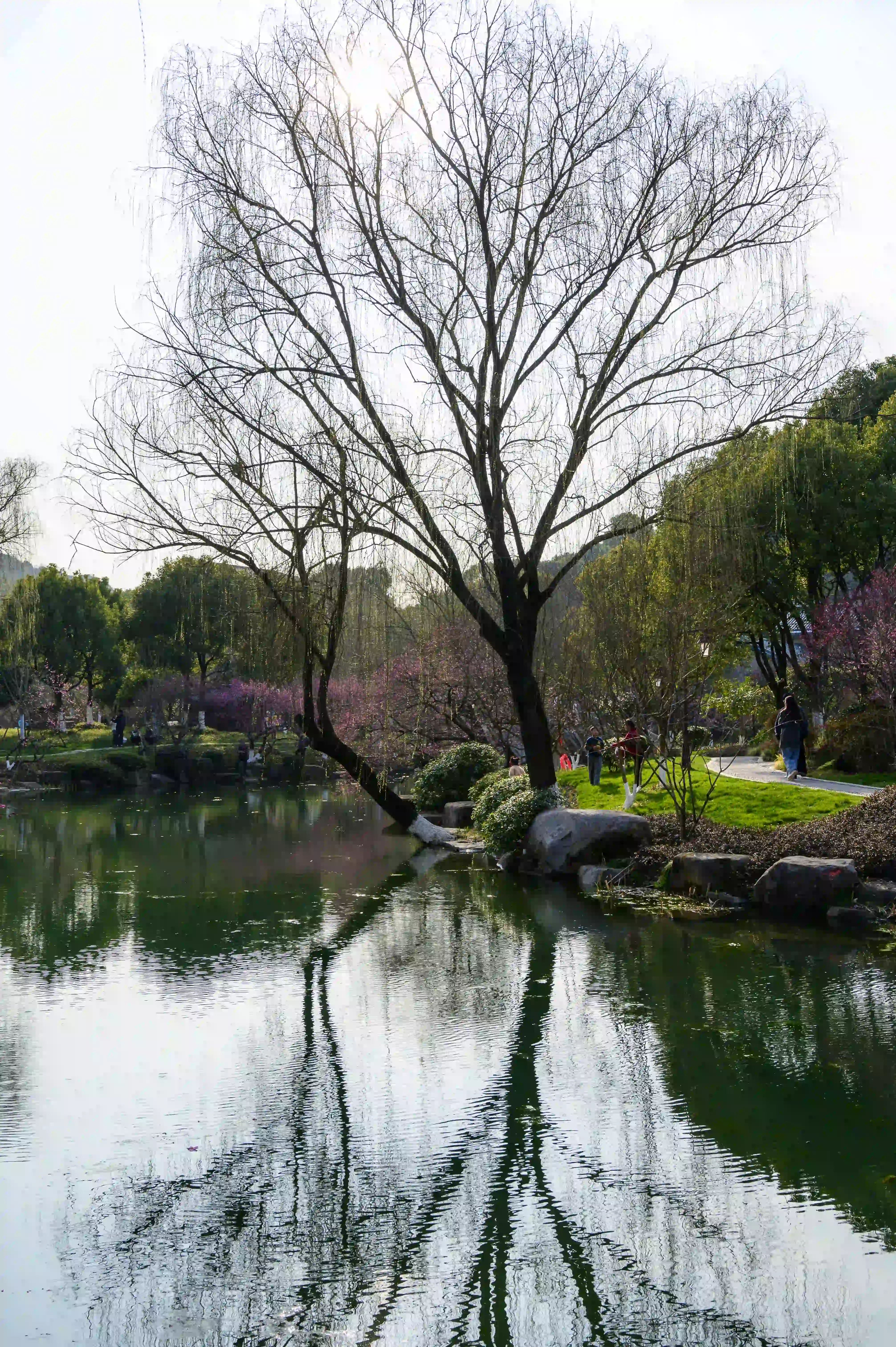水岸边景色 水岸边景色