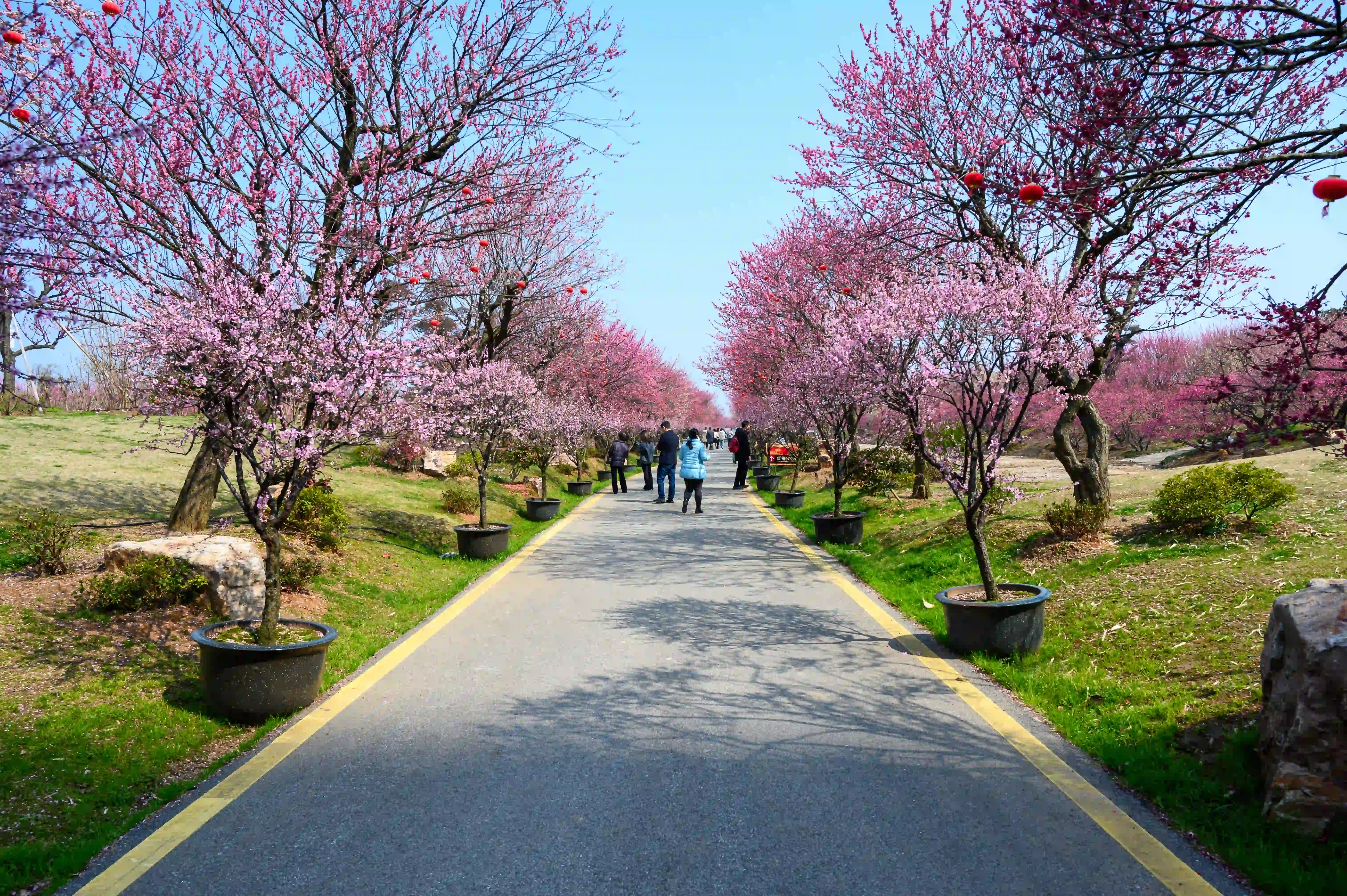 走道两侧景色 走道两侧景色