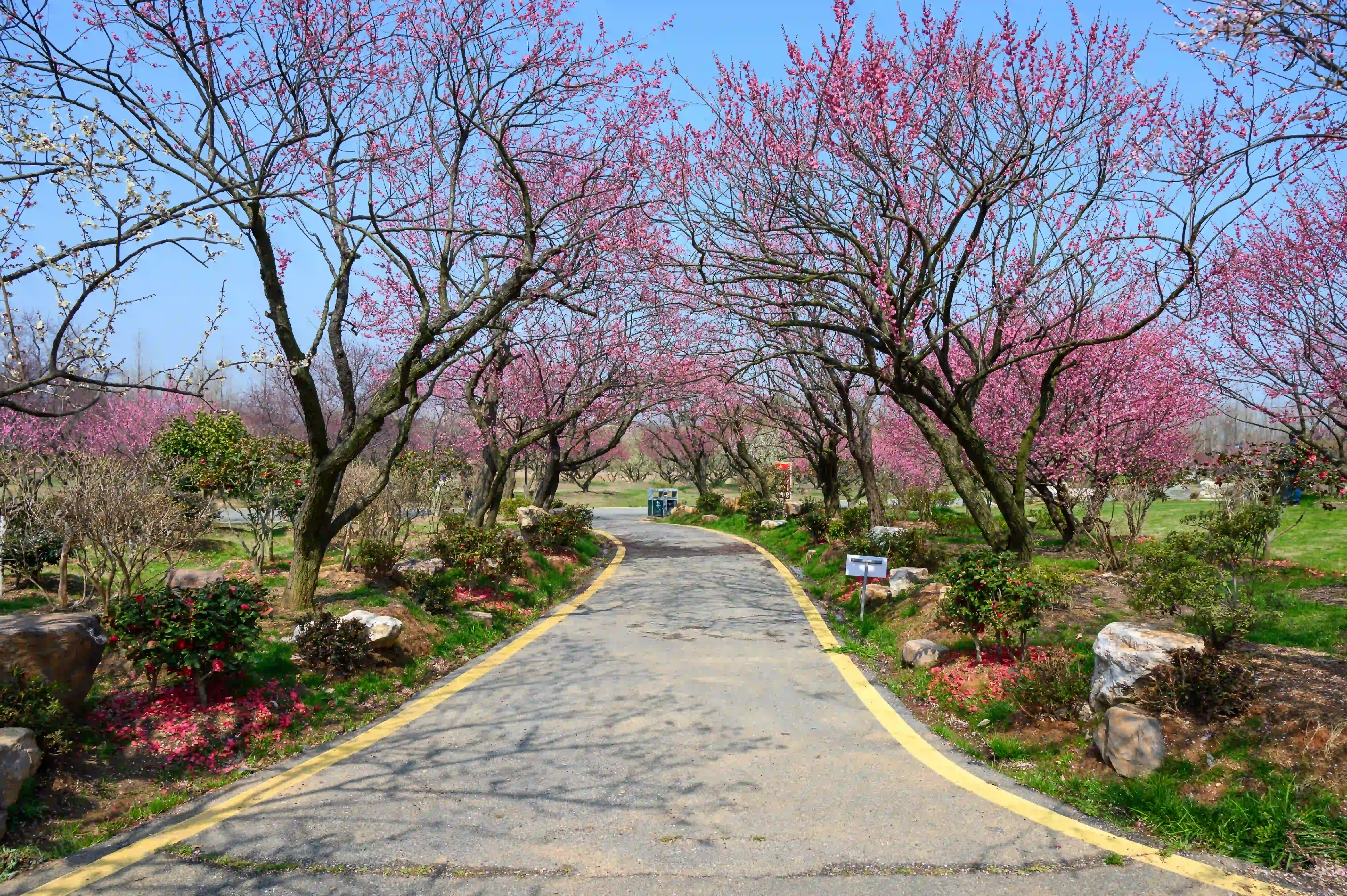 走道两侧景色 走道两侧景色