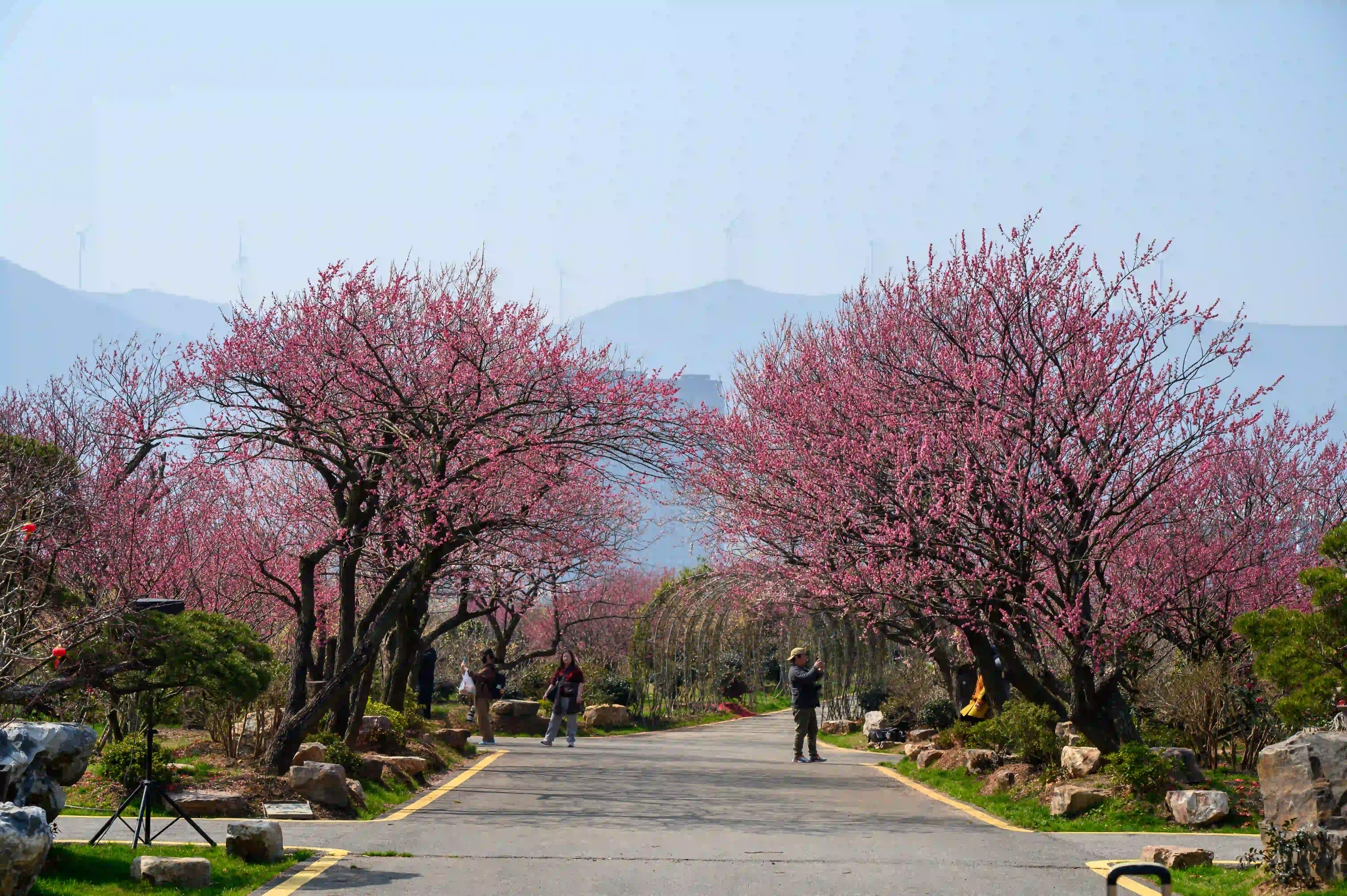 走道两侧景色 走道两侧景色