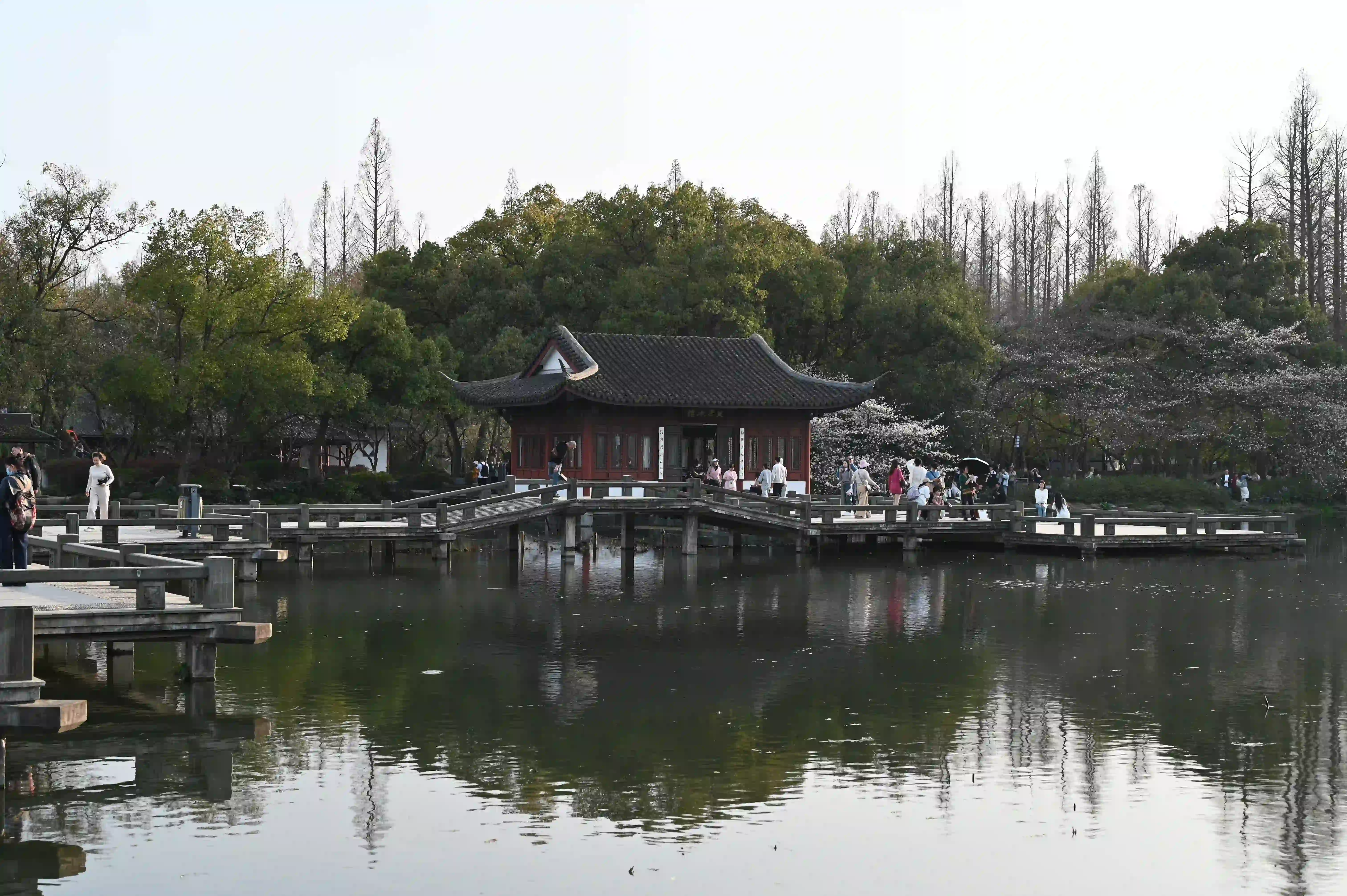 曲渡清波 曲渡清波