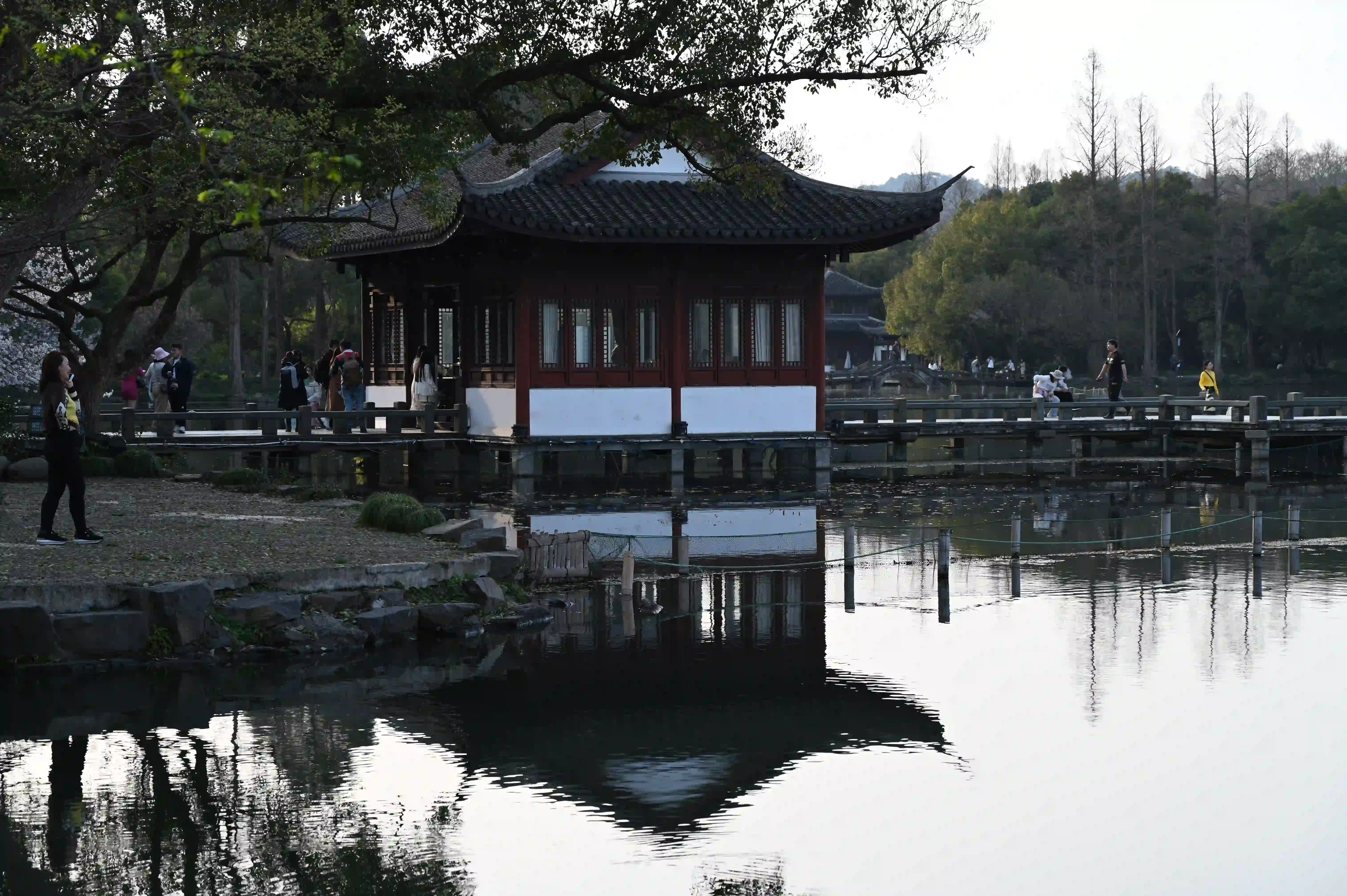 芙渠水馆 芙渠水馆