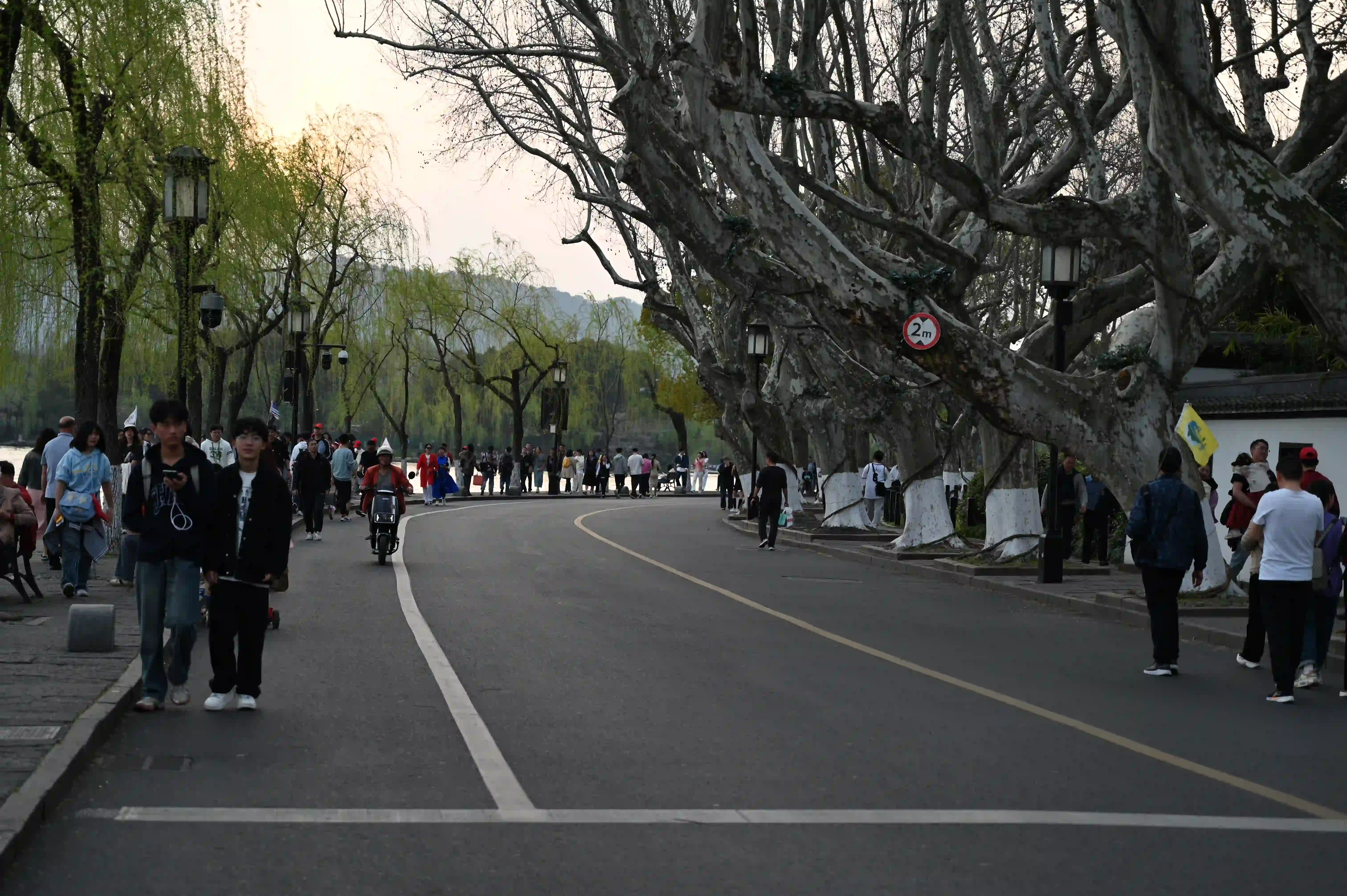 孤山路上的游客 孤山路上的游客