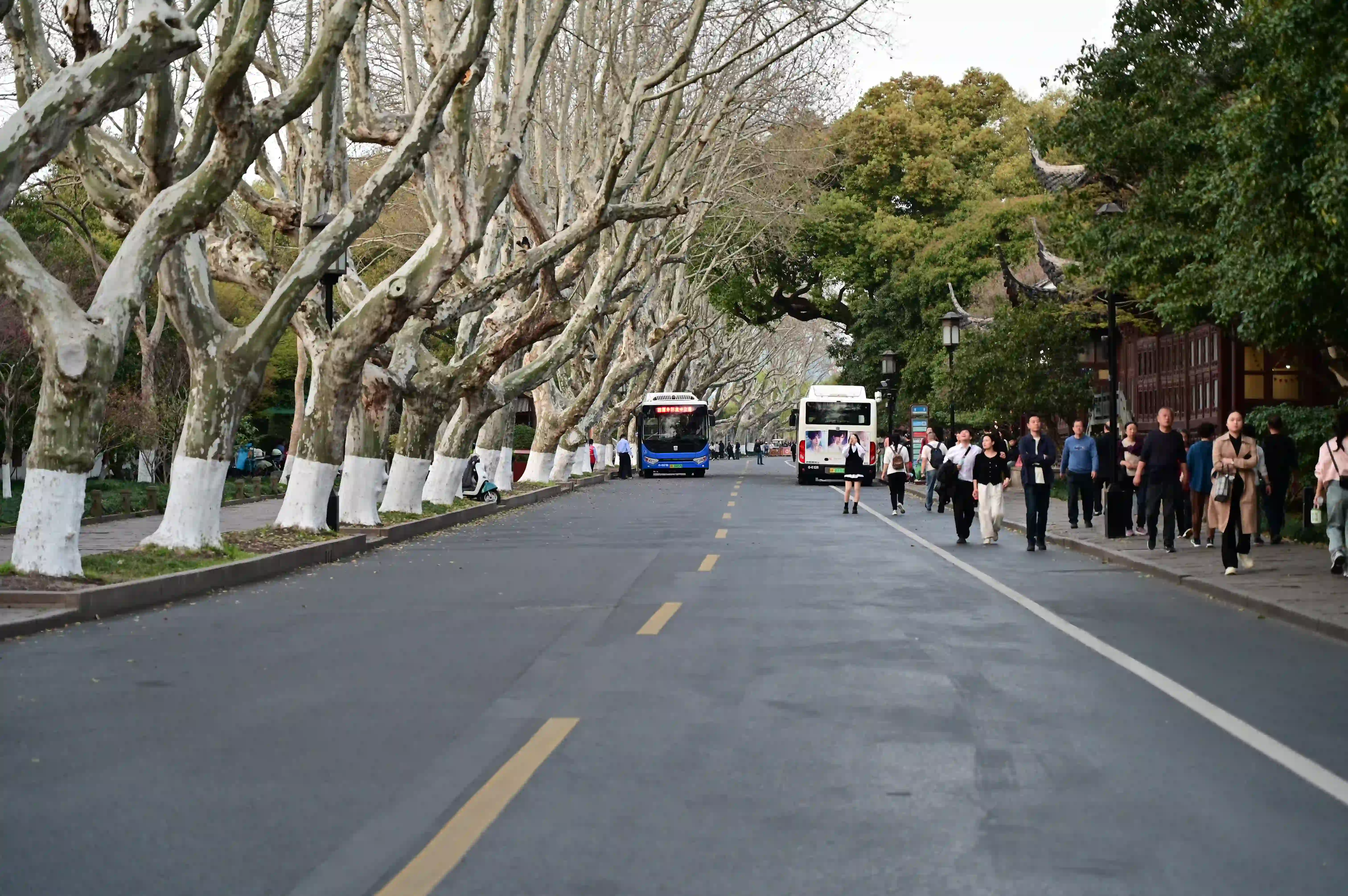 孤山路上的游客 孤山路上的游客