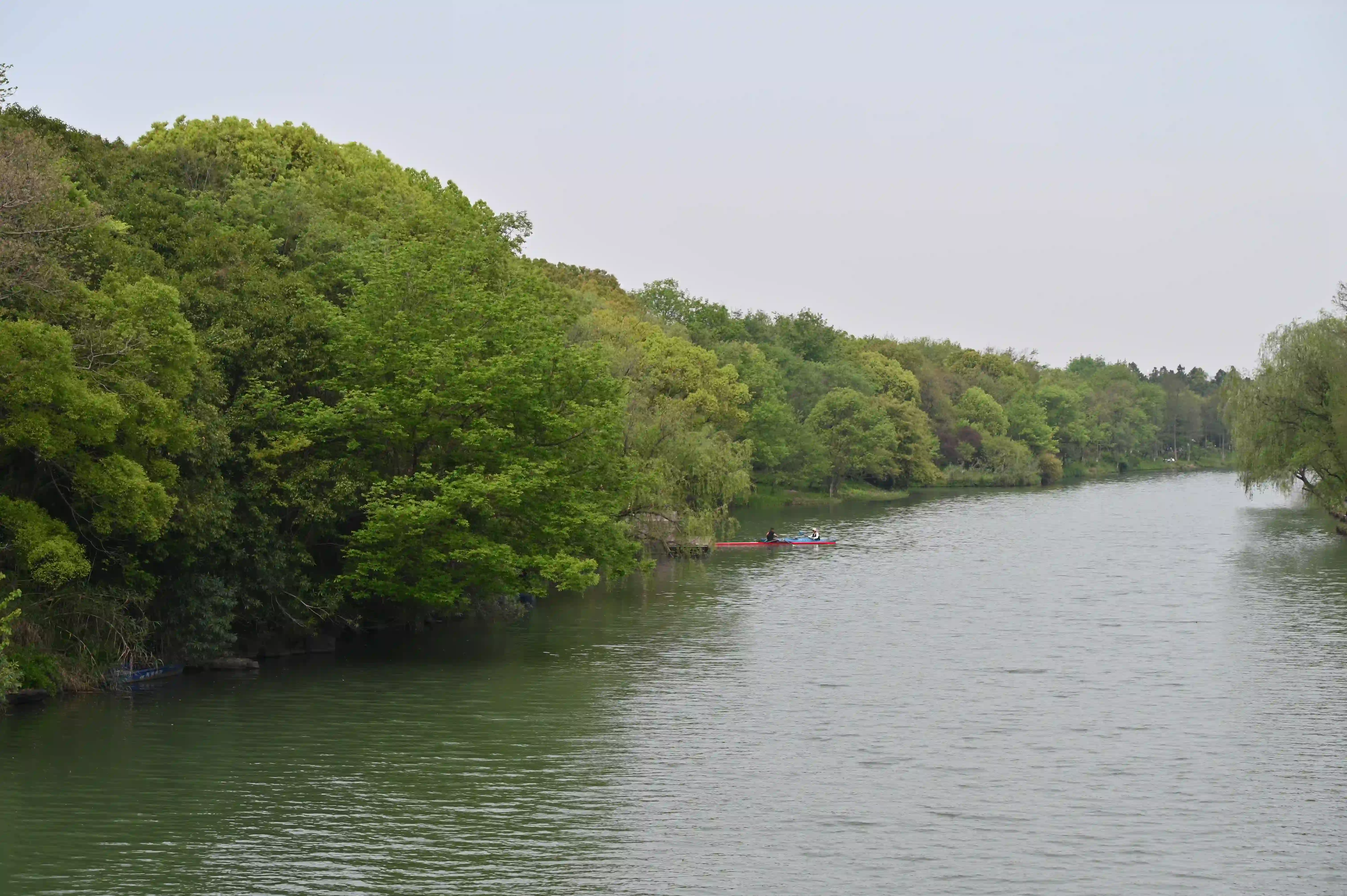 西溪湿地 西溪湿地