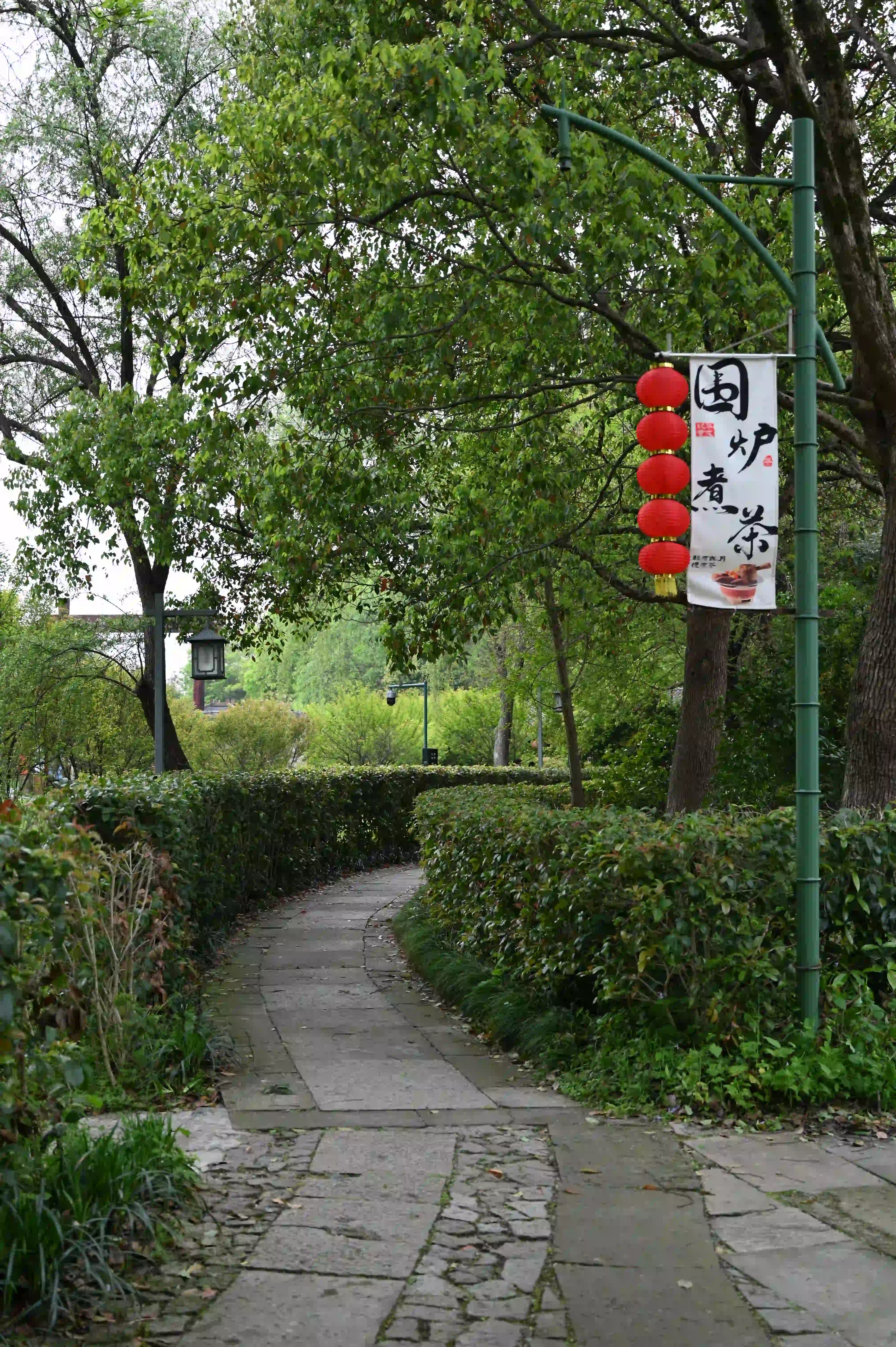 西溪湿地 西溪湿地