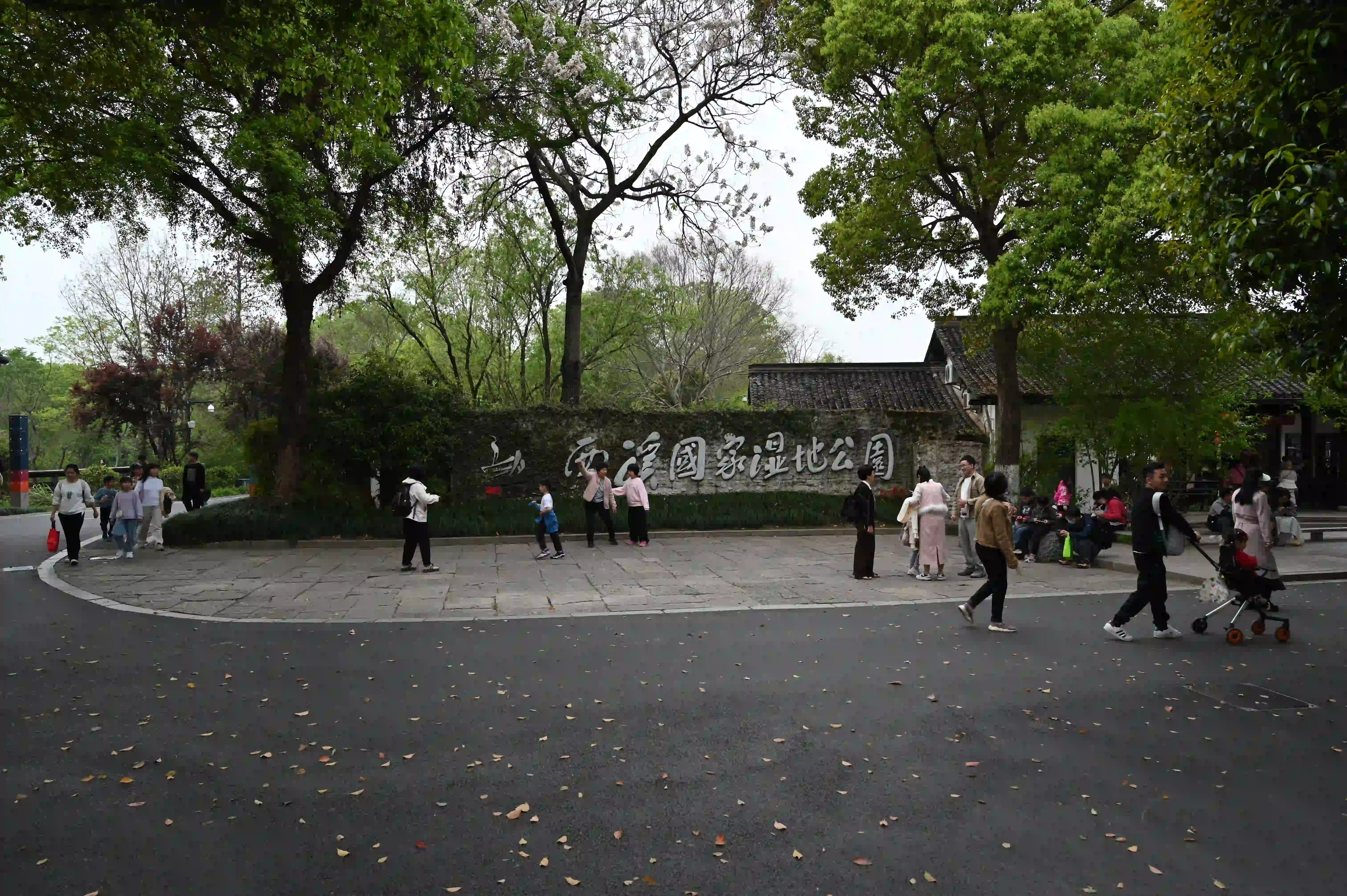 西溪湿地 西溪湿地