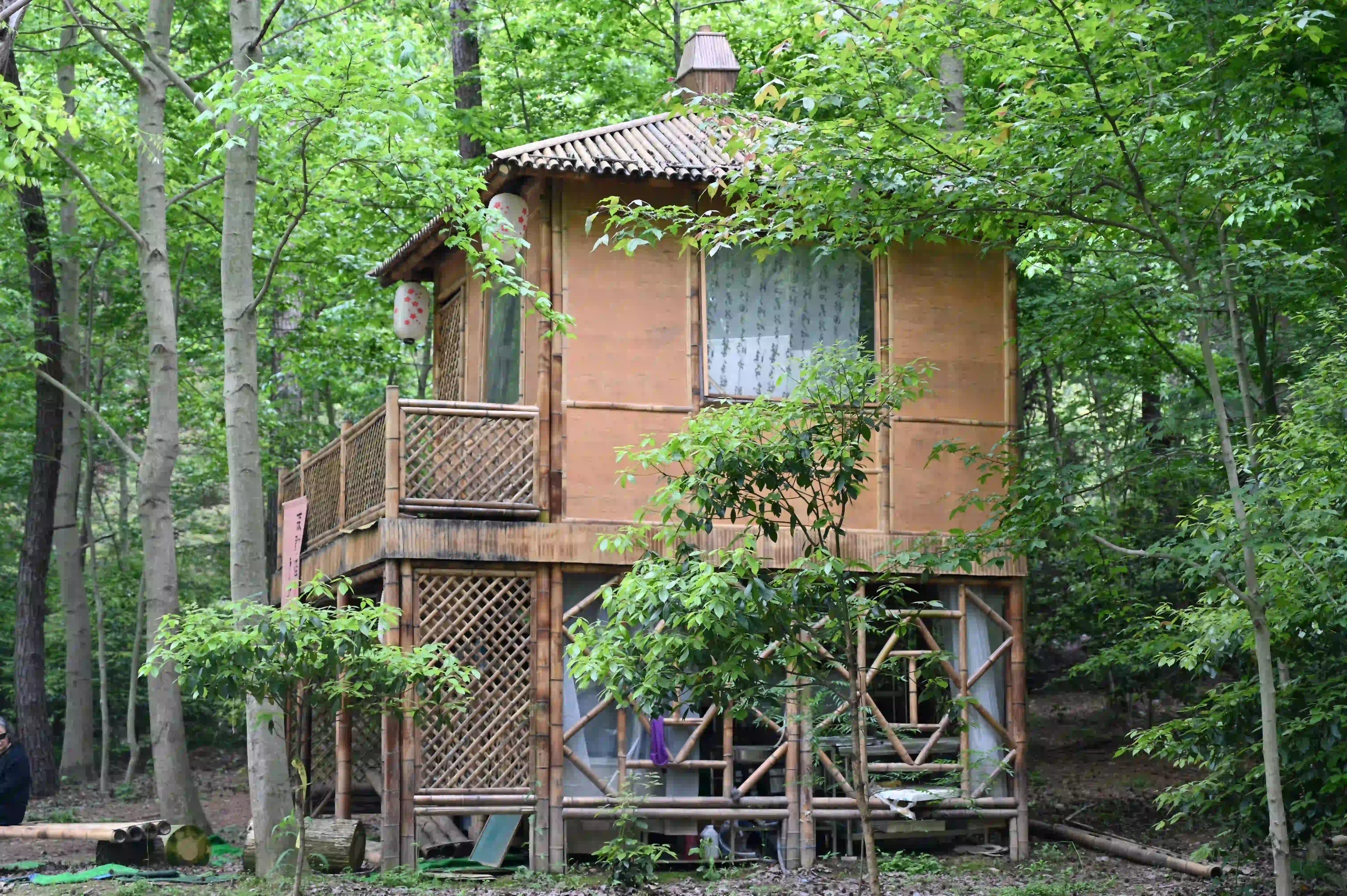 林中的小木屋 林中的小木屋