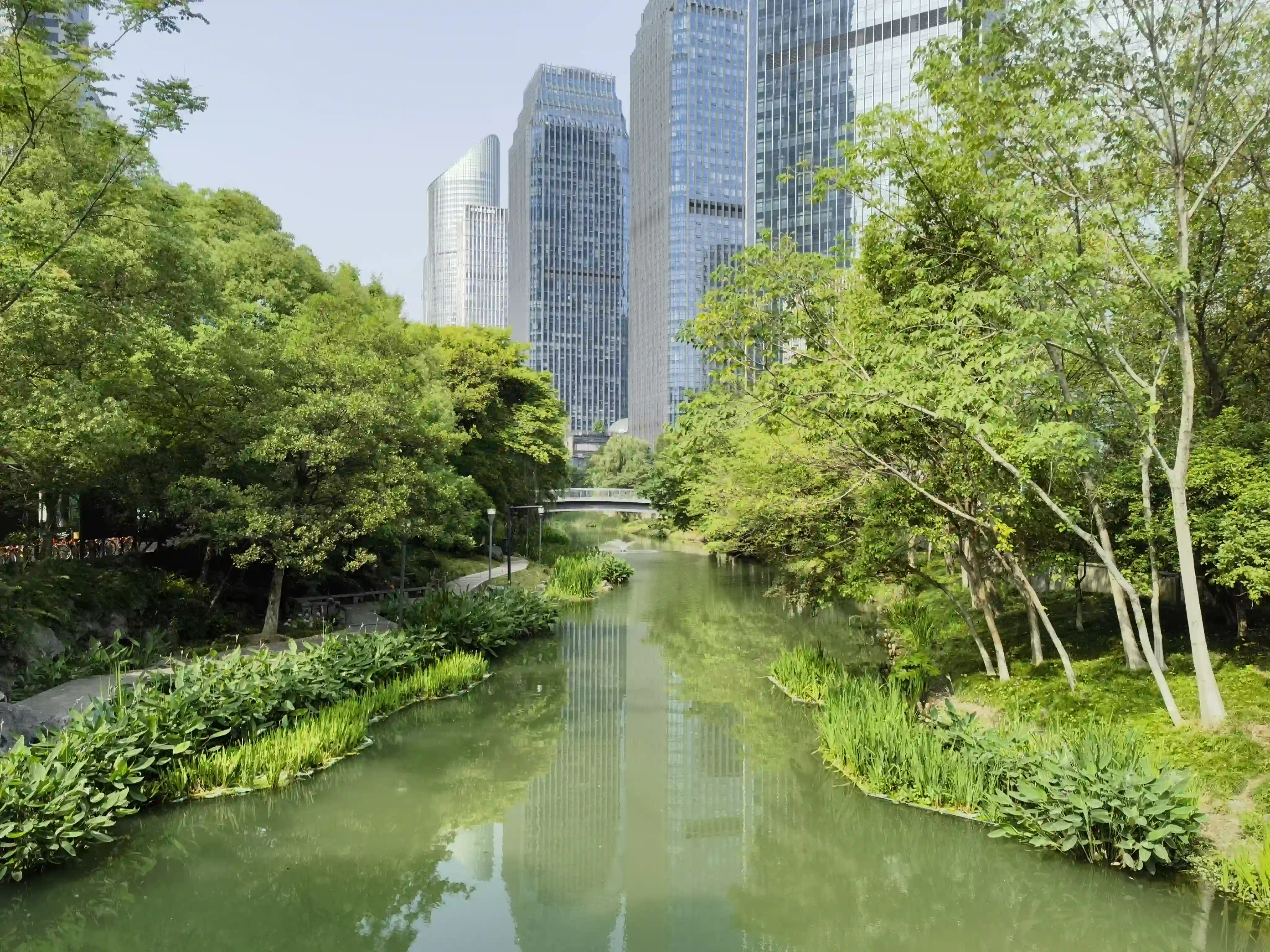 路边河景随拍 路边河景随拍