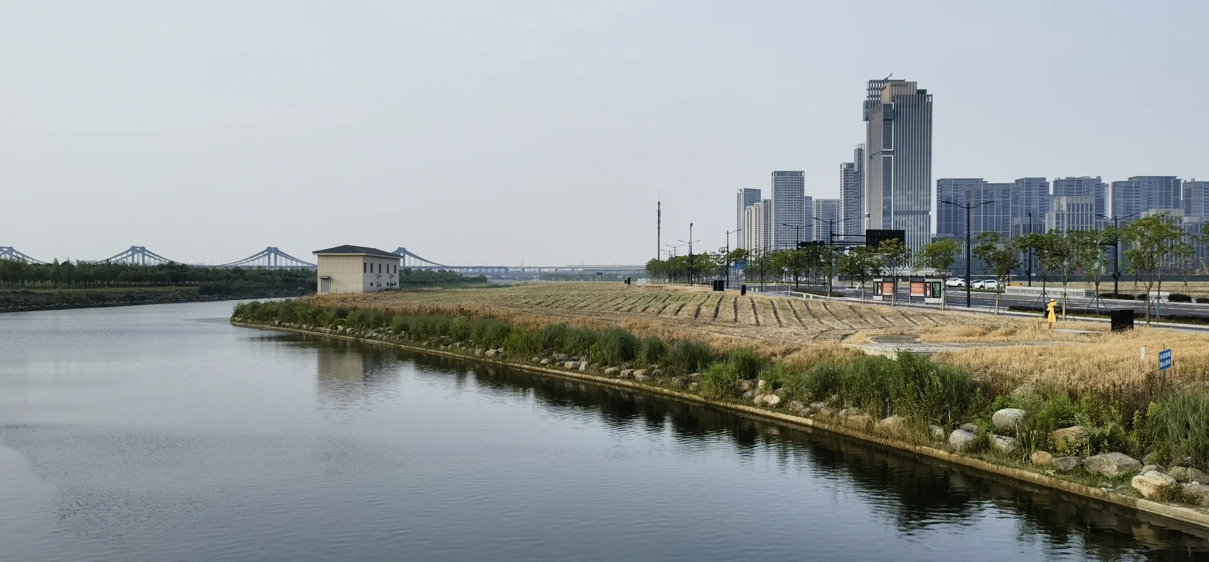 望亚运村方向的景色 望亚运村方向的景色