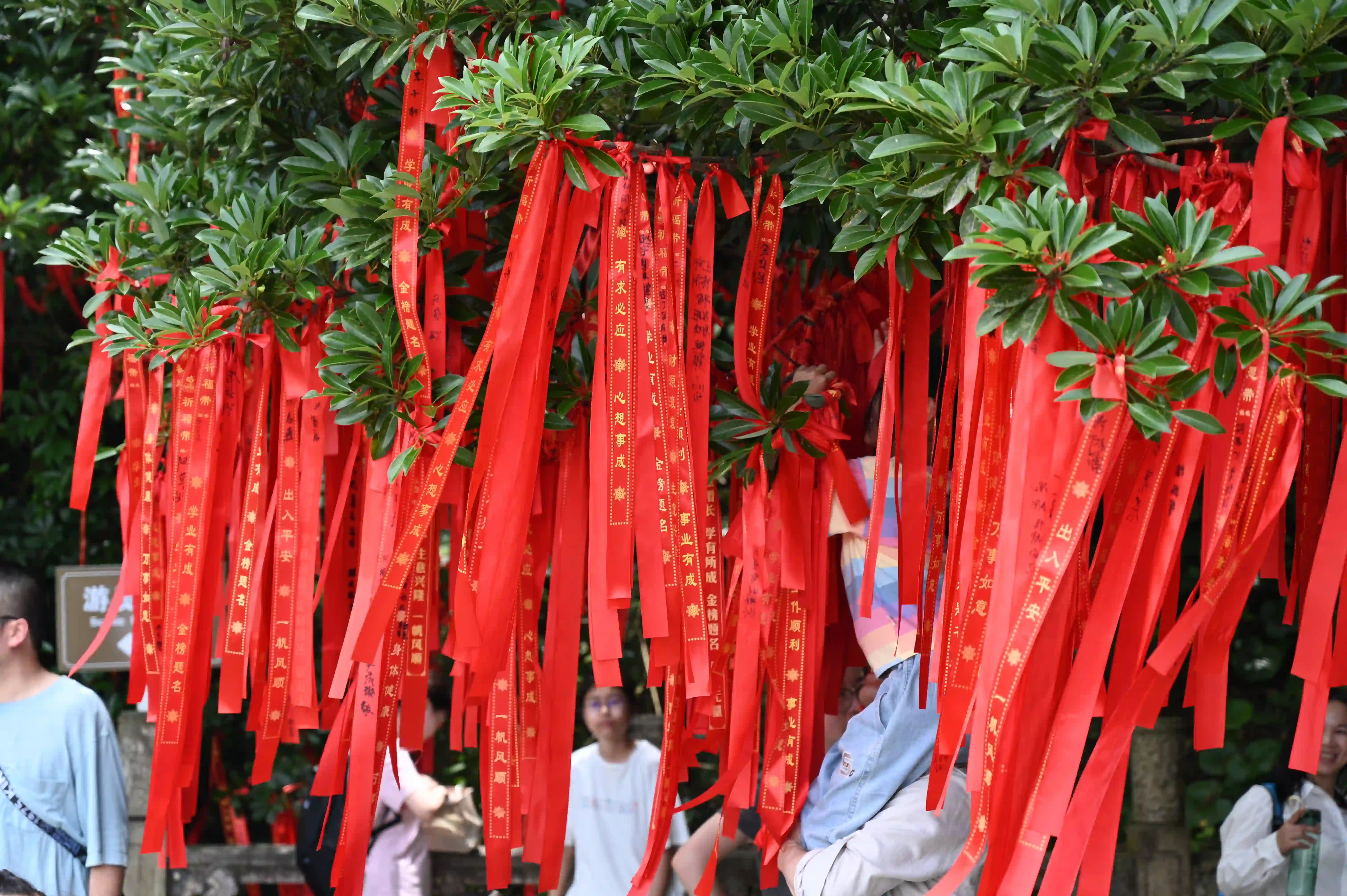 许愿条 许愿条