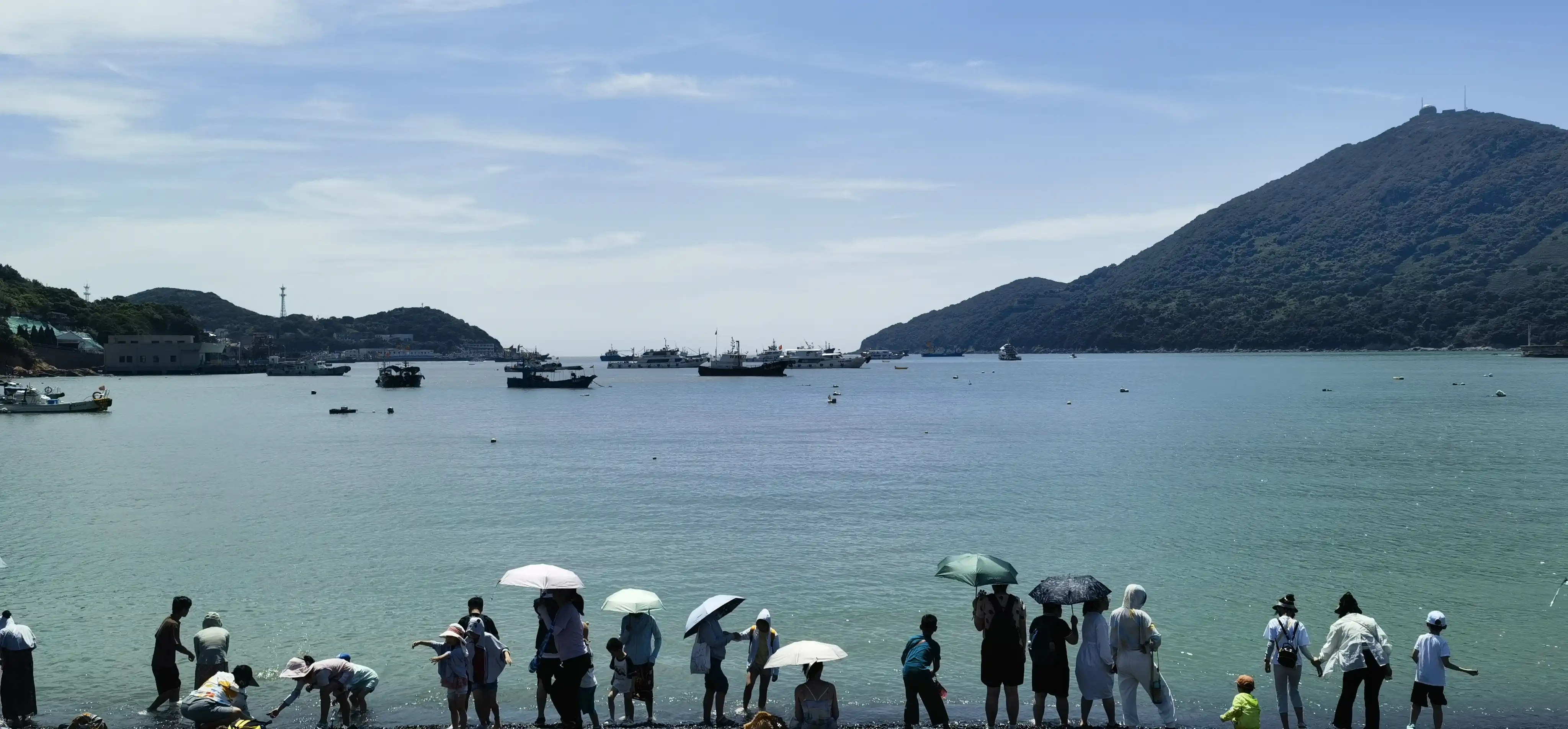 樟州湾 樟州湾