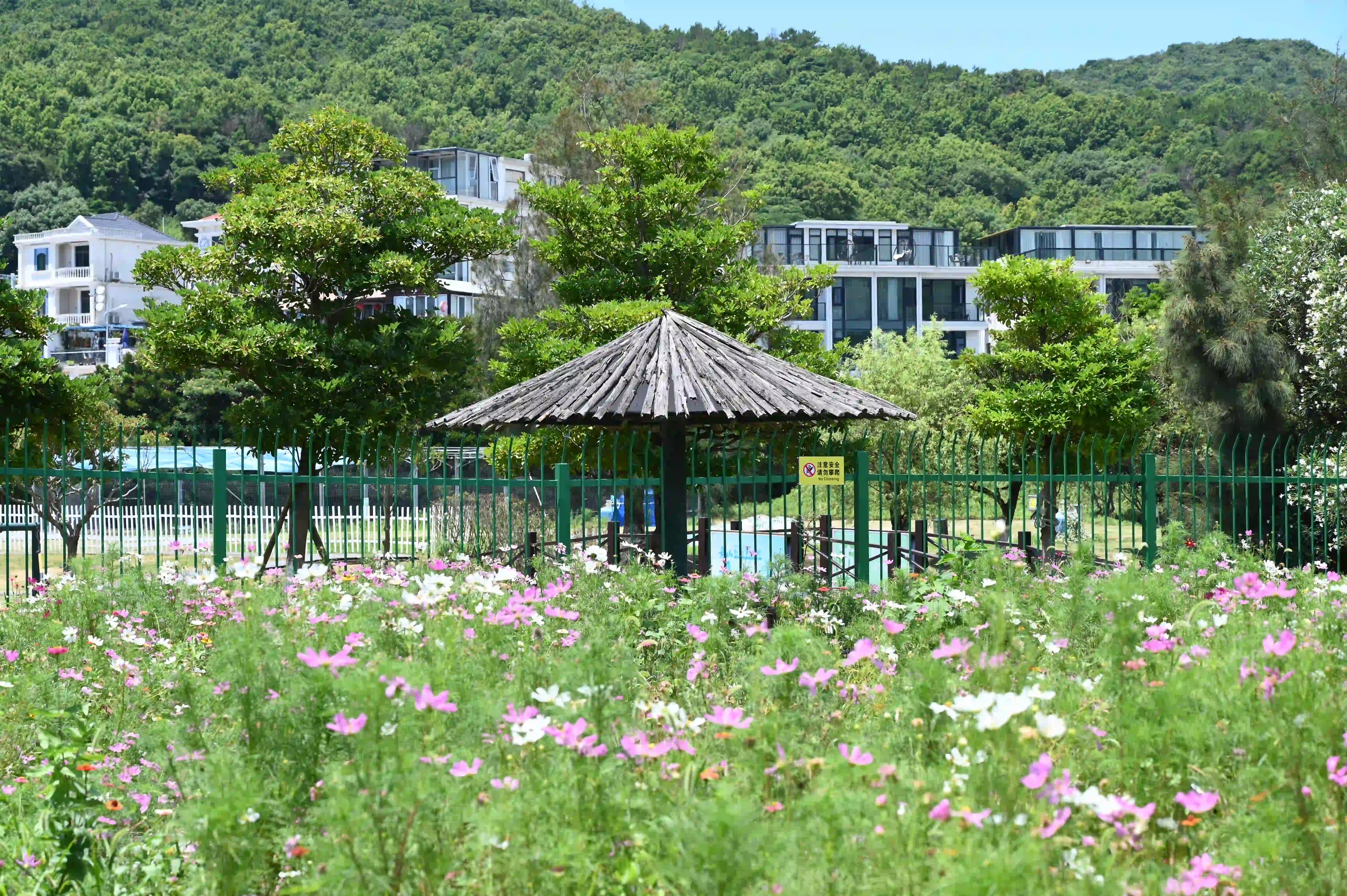 花海边的小亭 花海边的小亭