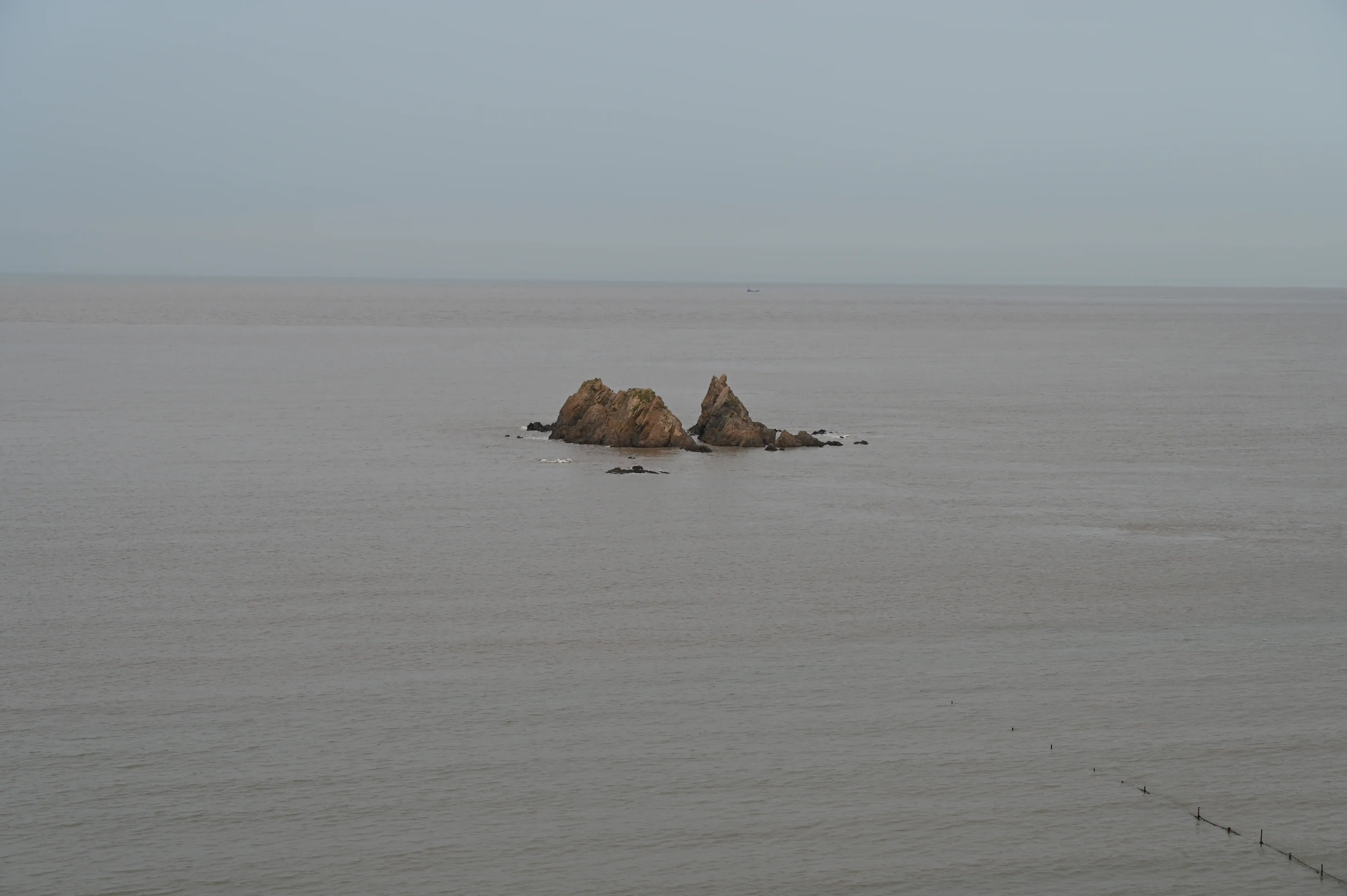 海水中的鸡冠礁 海水中的鸡冠礁